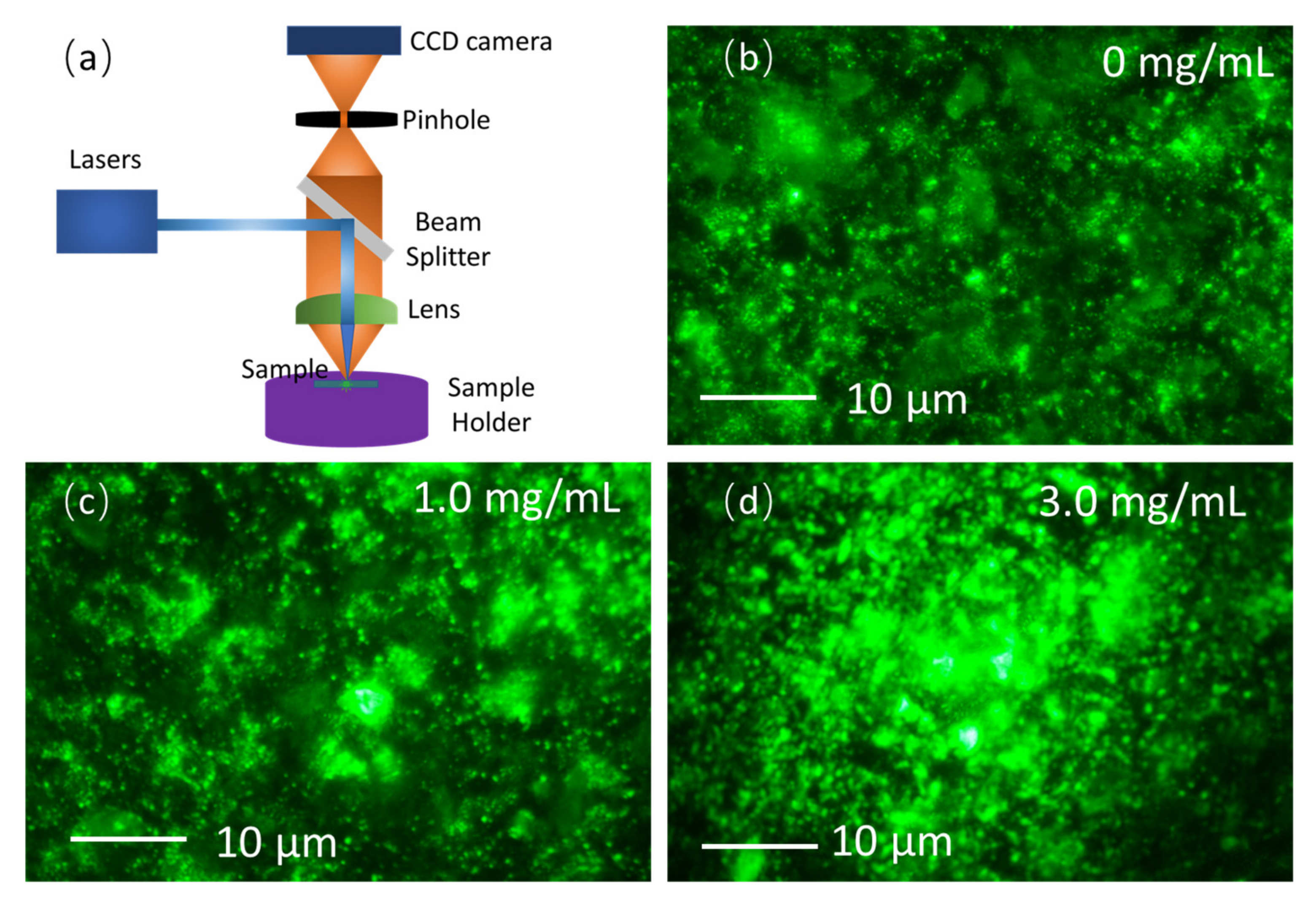 Nanomaterials 13 01761 g005