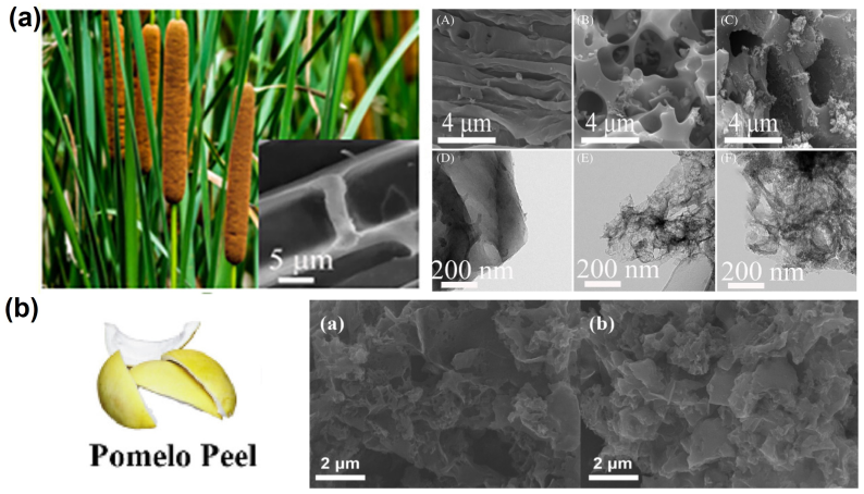 Nanomaterials 13 01768 g010 Nanomaterials 13 01768 g010