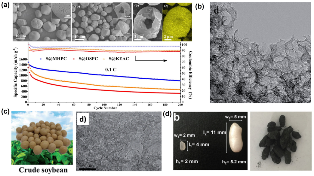 Nanomaterials 13 01768 g011 Nanomaterials 13 01768 g011