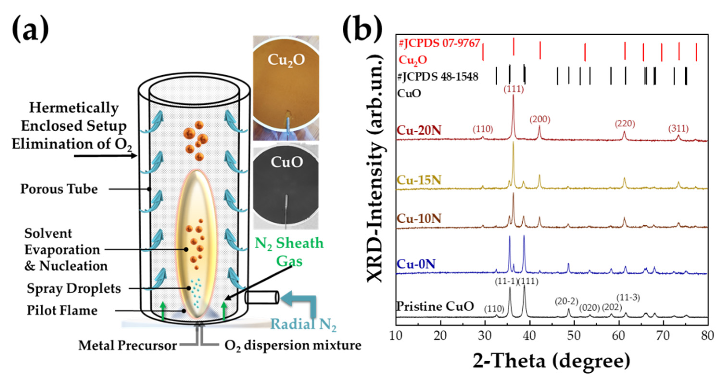 Nanomaterials 13 01773 g001