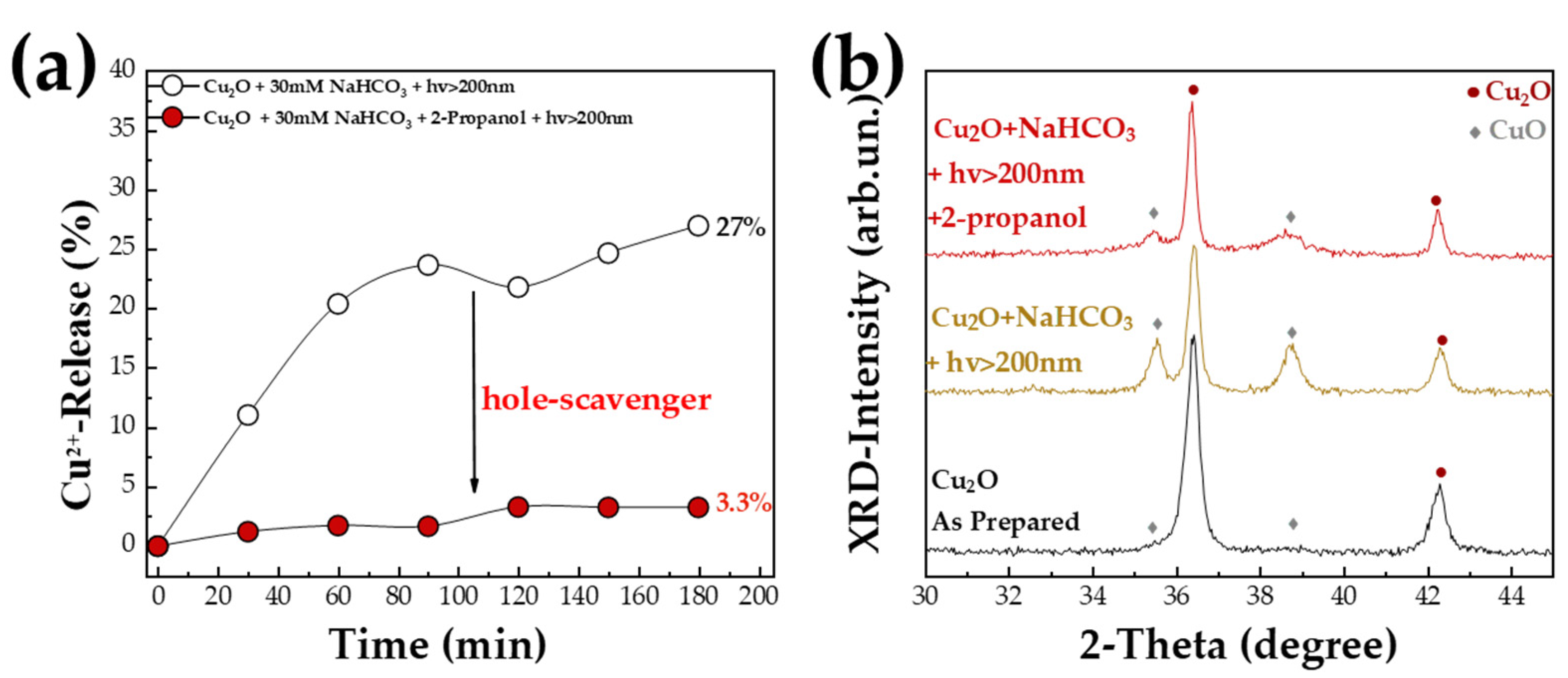 Nanomaterials 13 01773 g005