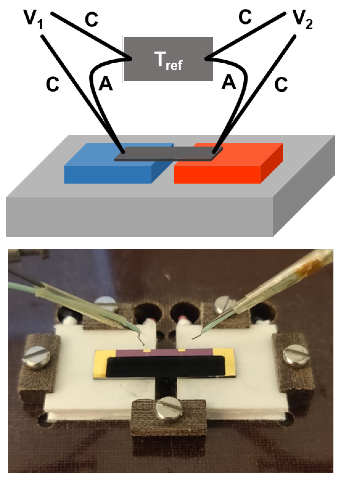 Nanomaterials 13 01778 g003