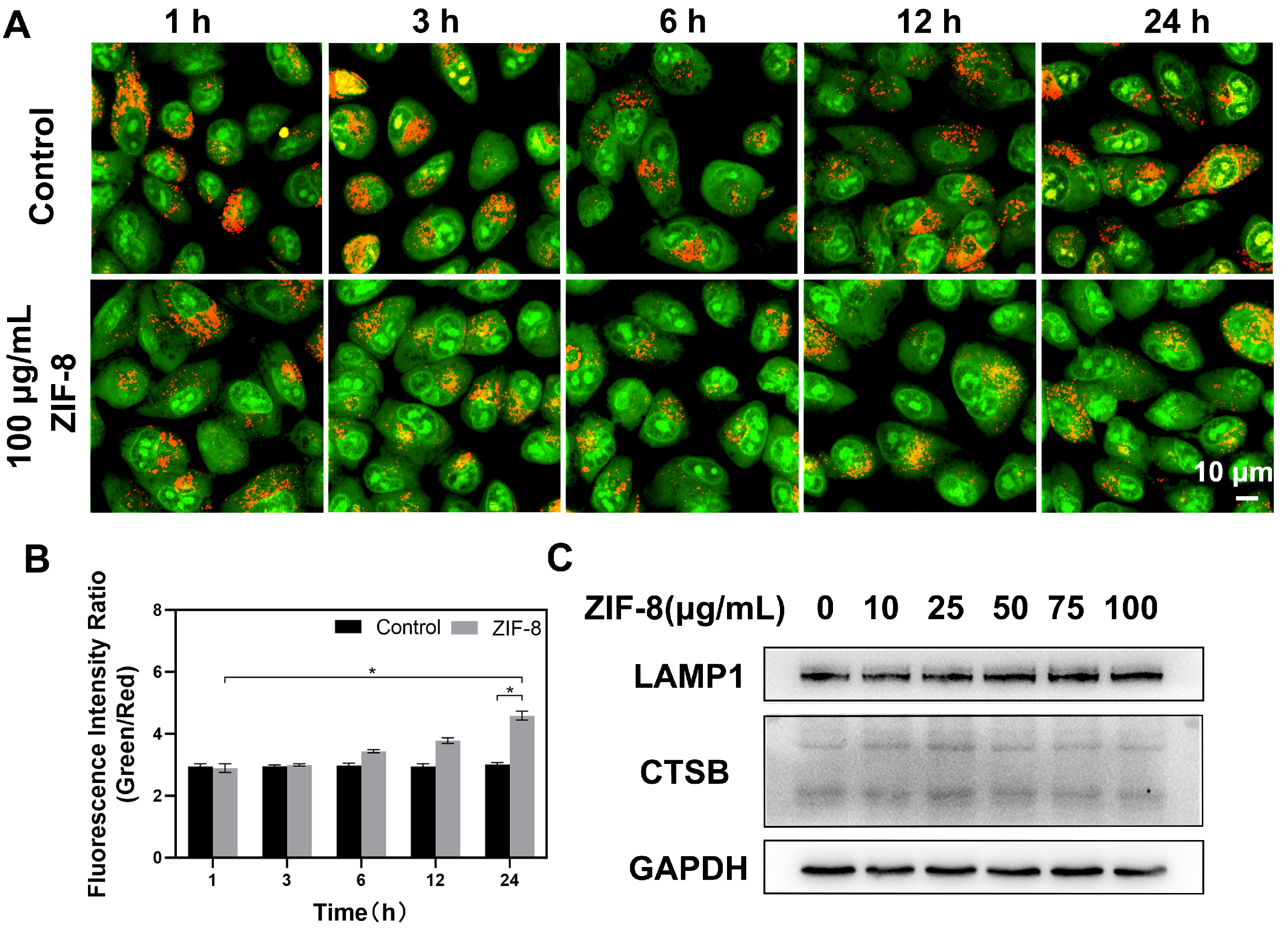 Nanomaterials 13 01779 g003 Nanomaterials 13 01779 g003