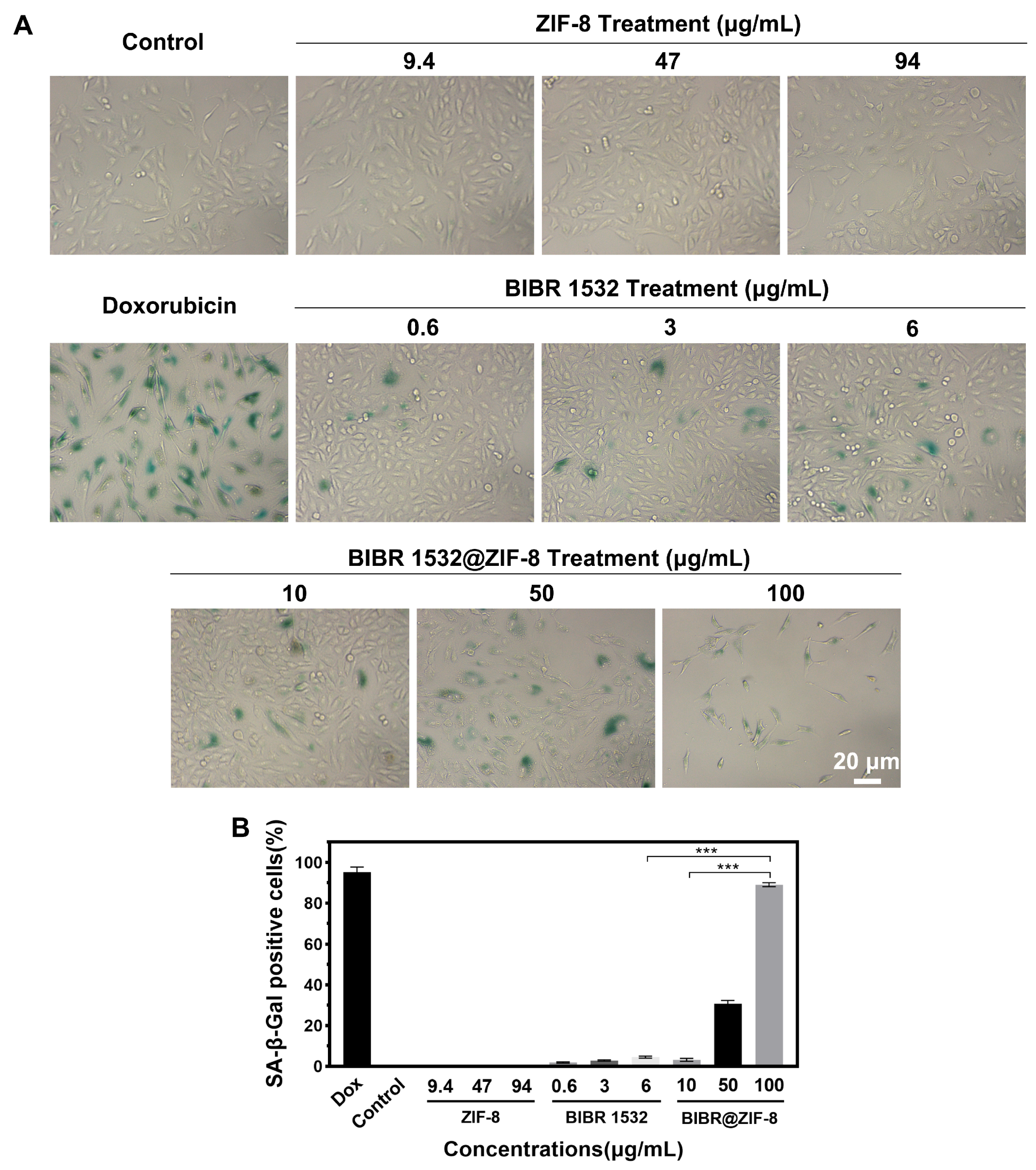 Nanomaterials 13 01779 g007 Nanomaterials 13 01779 g007