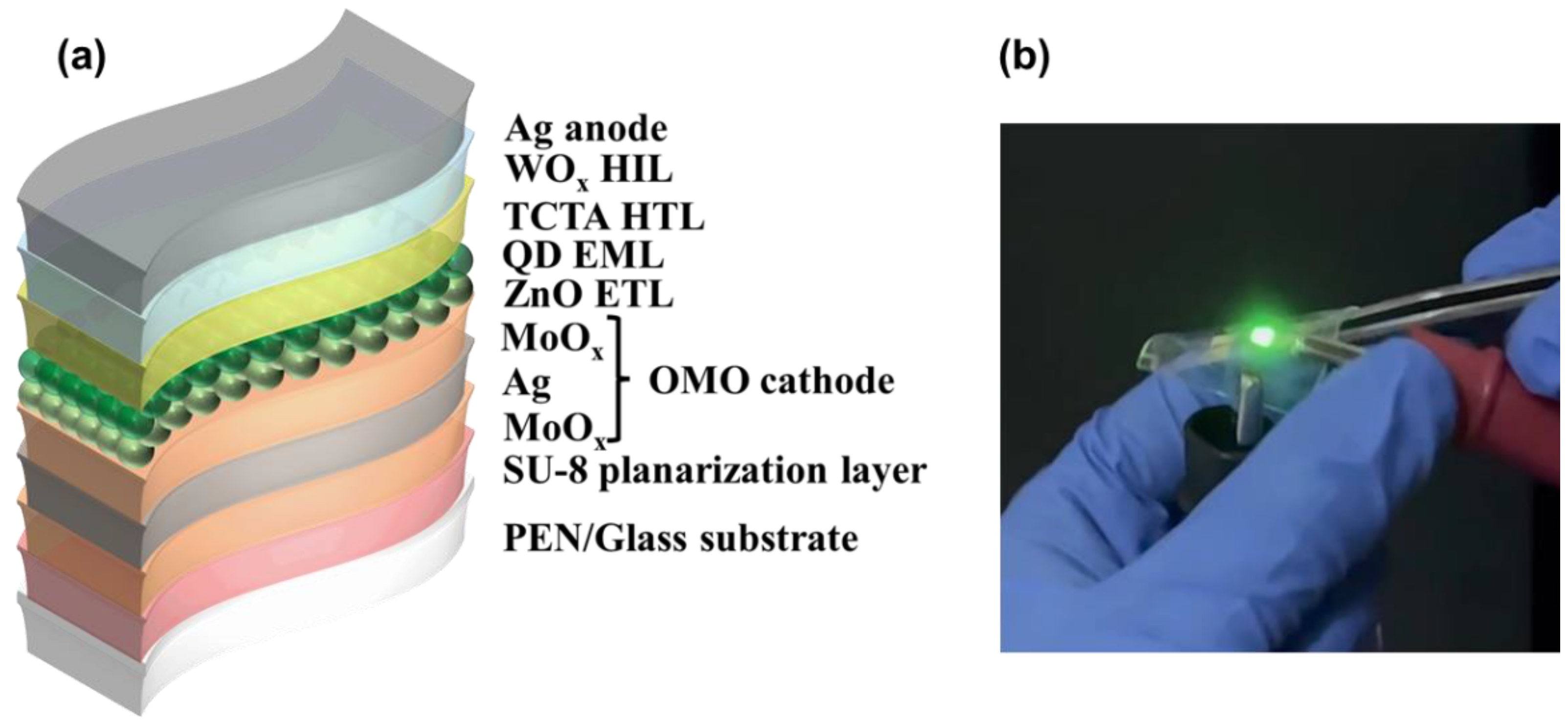 Nanomaterials 13 01780 g001