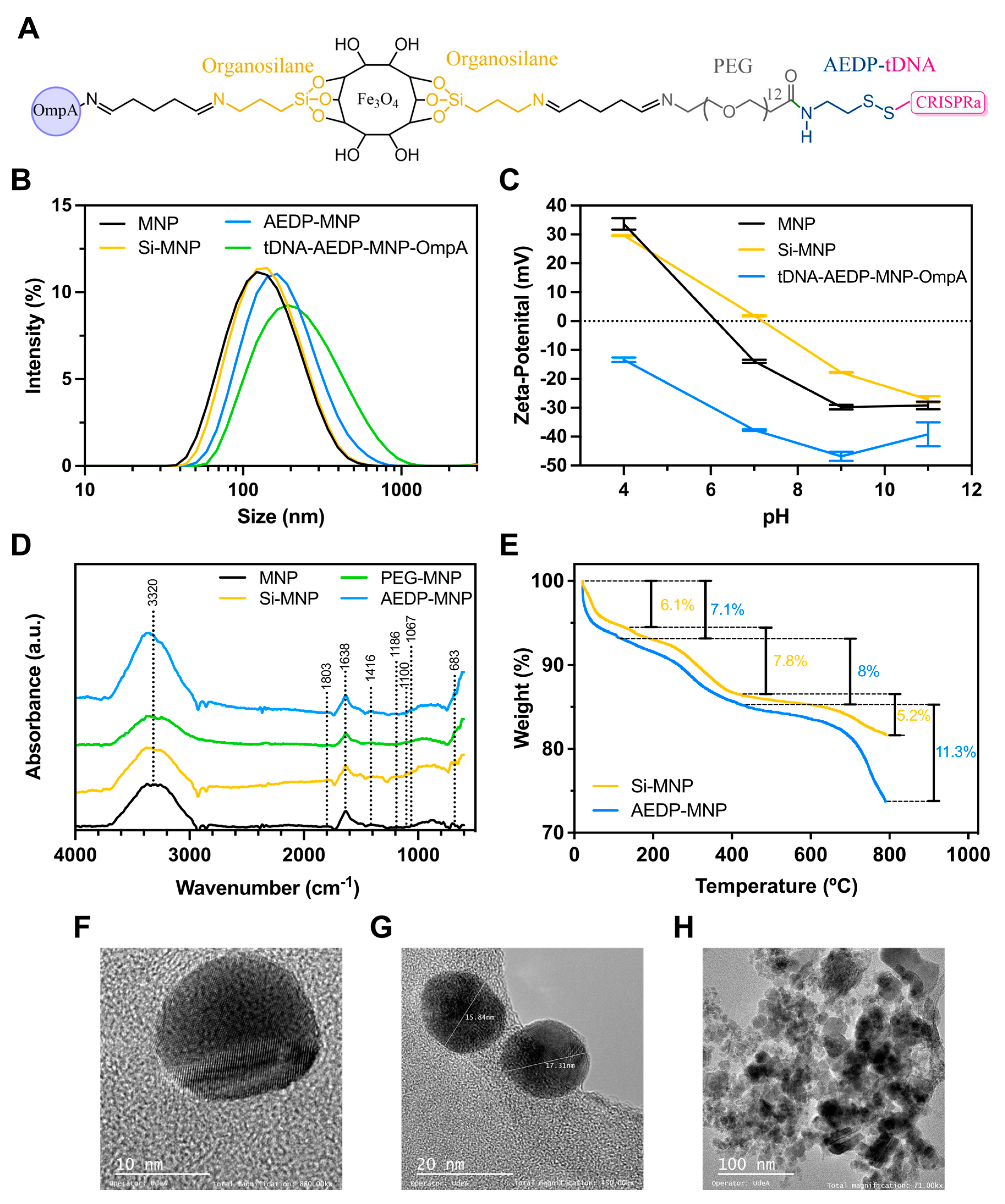 Nanomaterials 13 01782 g001