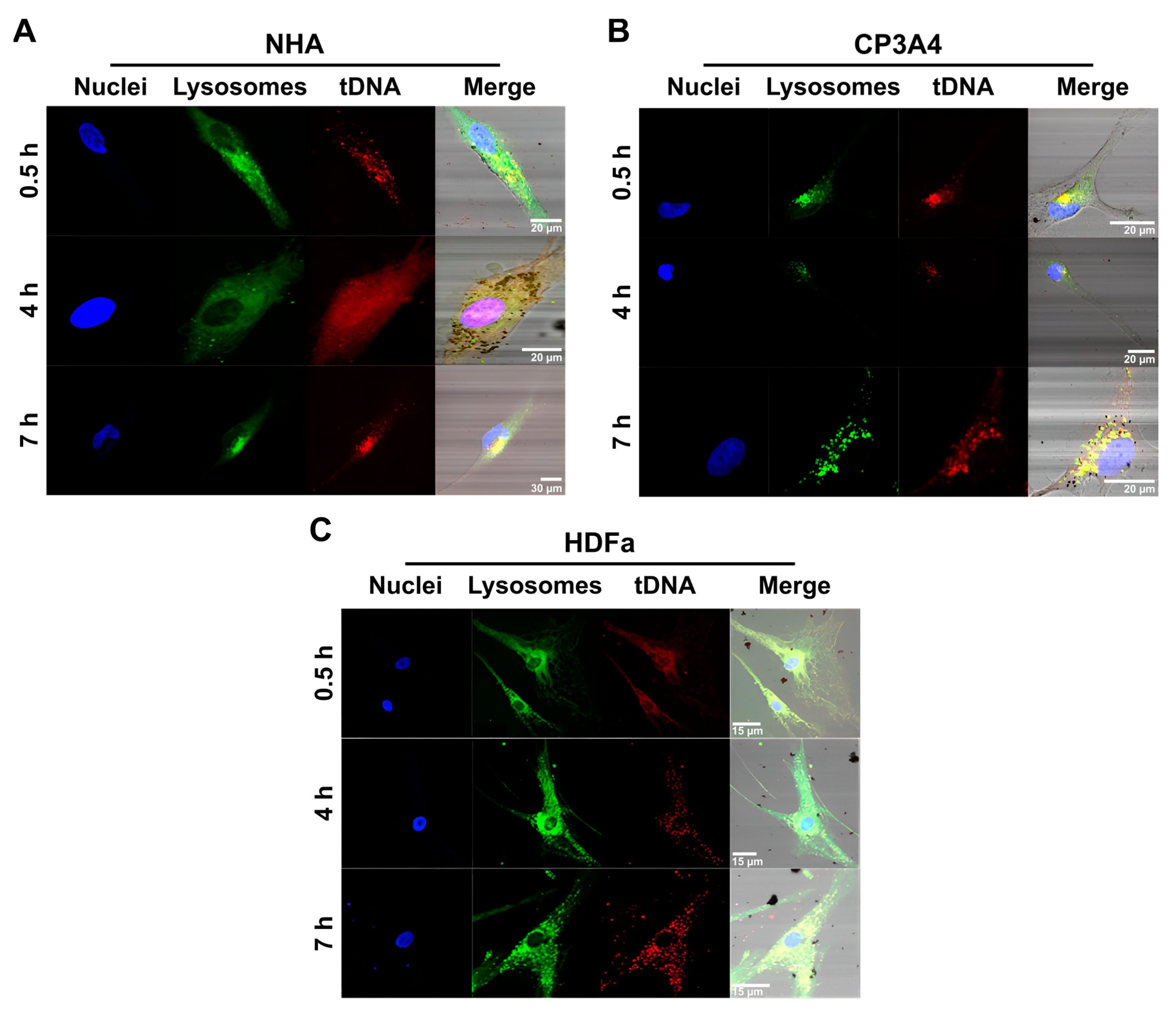 Nanomaterials 13 01782 g005
