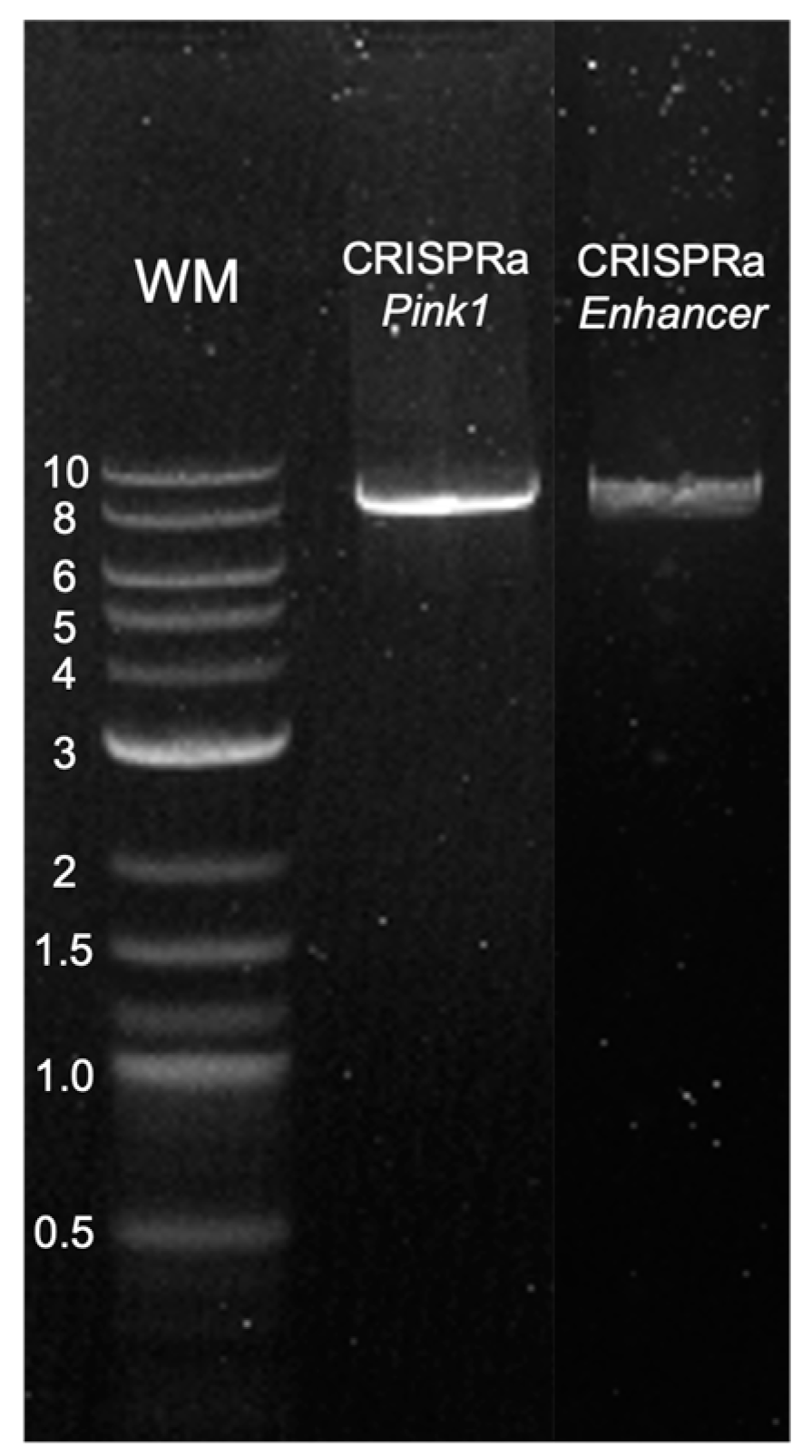 Nanomaterials 13 01782 g0a1