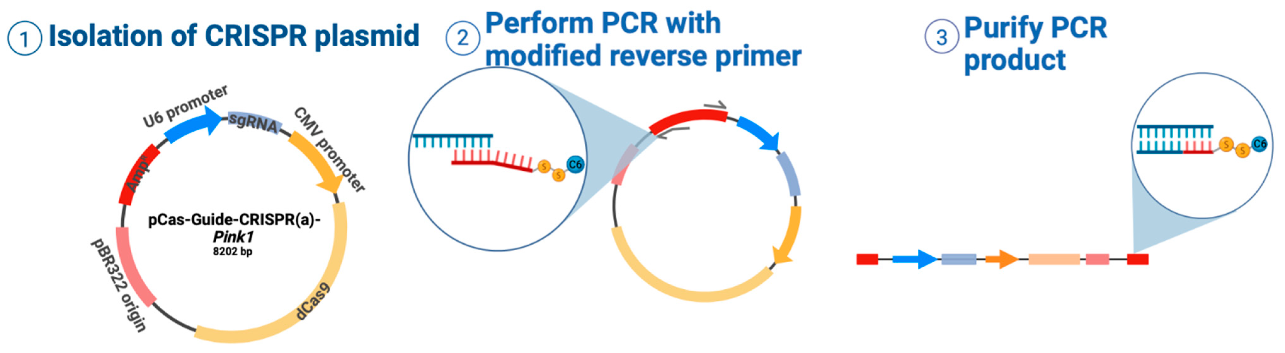 Nanomaterials 13 01782 sch001