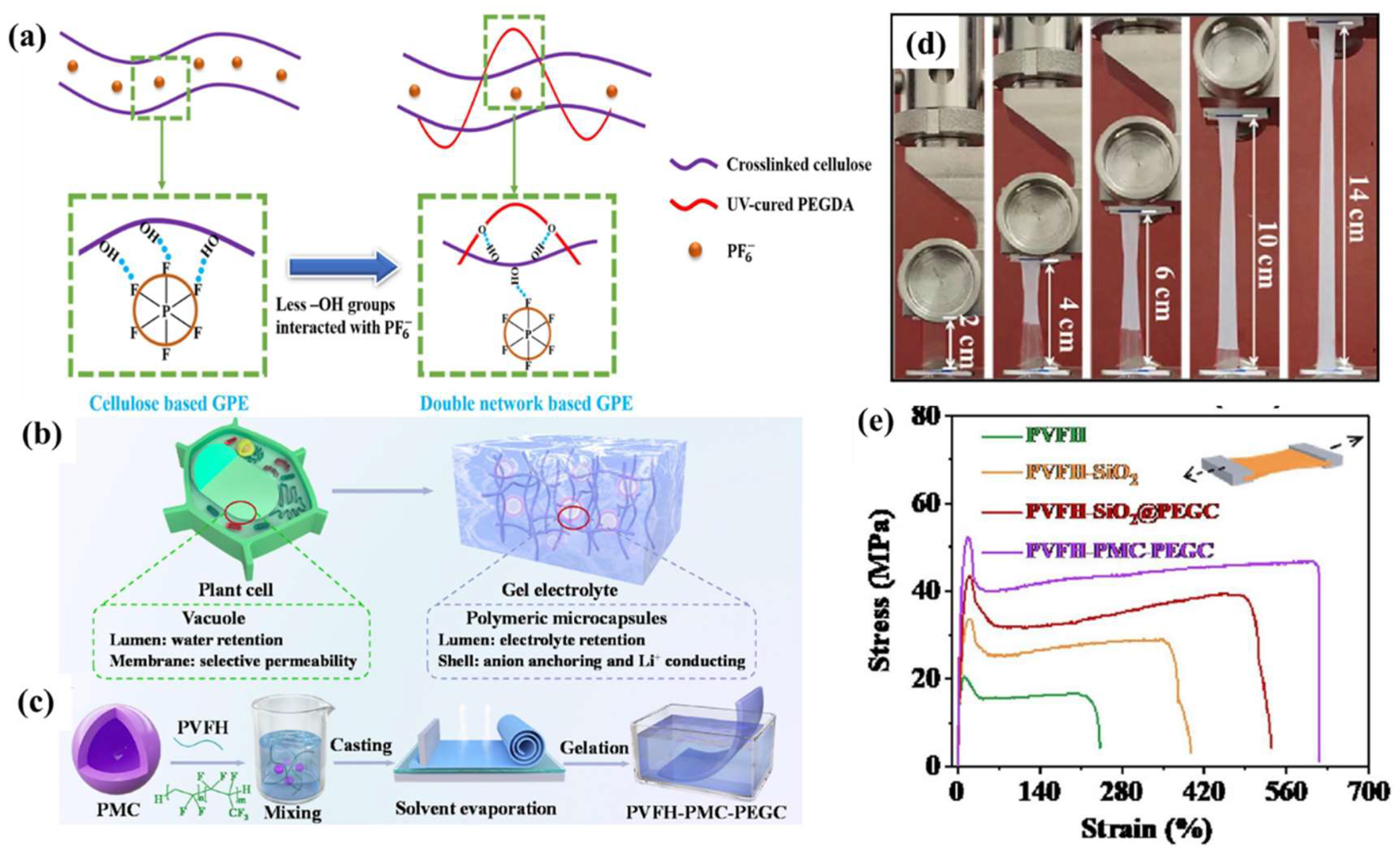 Nanomaterials 13 01789 g006