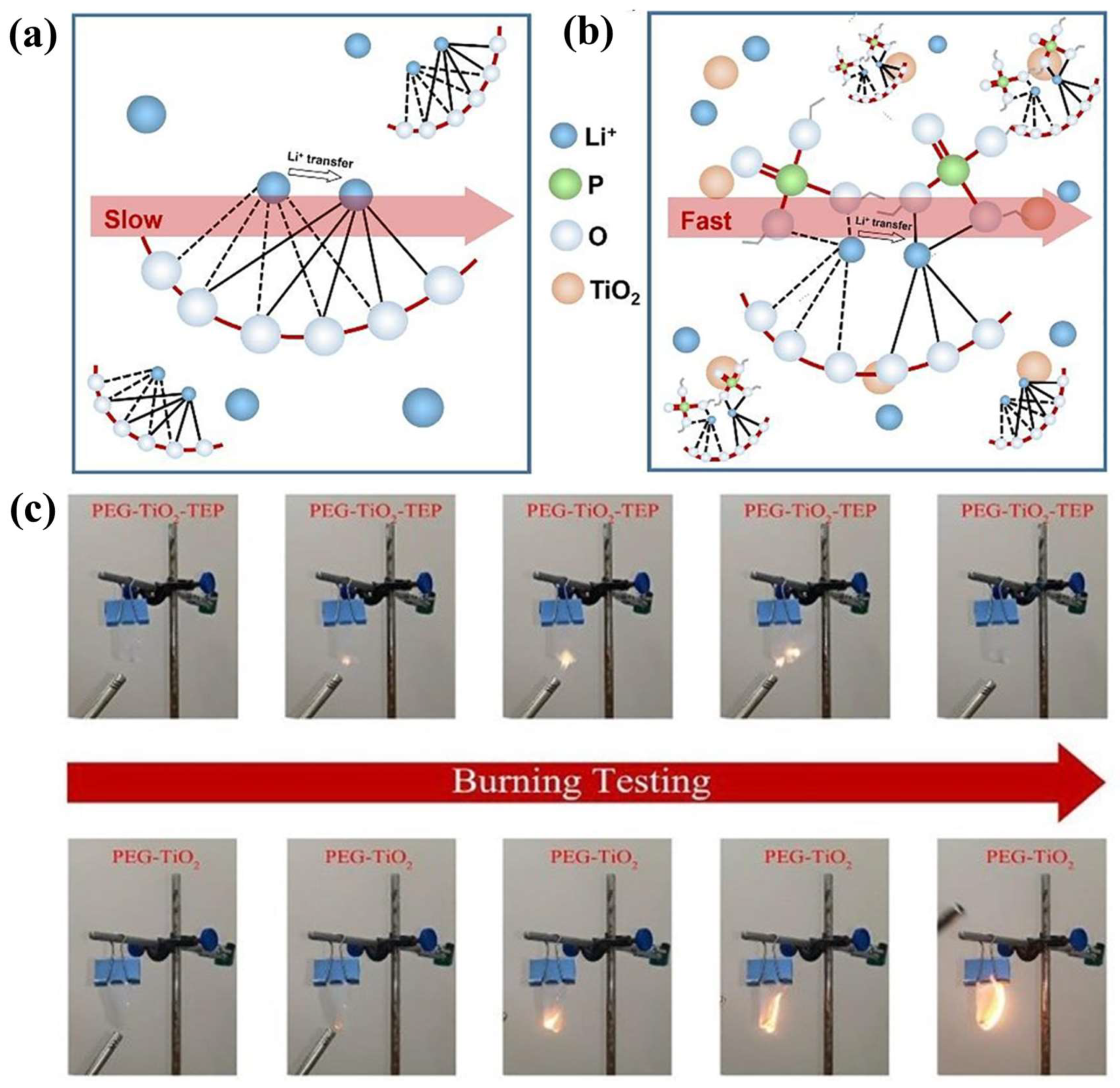 Nanomaterials 13 01789 g007
