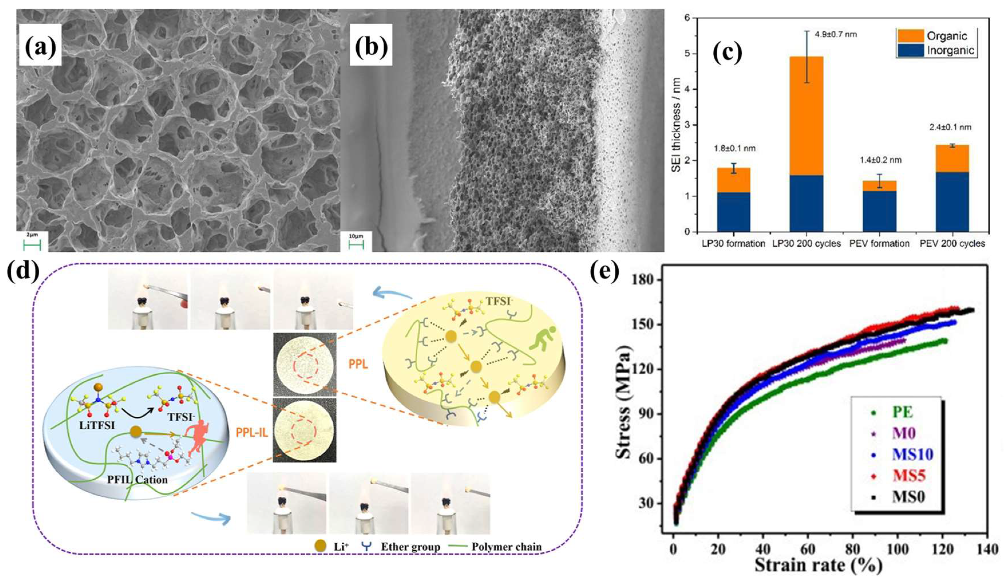 Nanomaterials 13 01789 g012