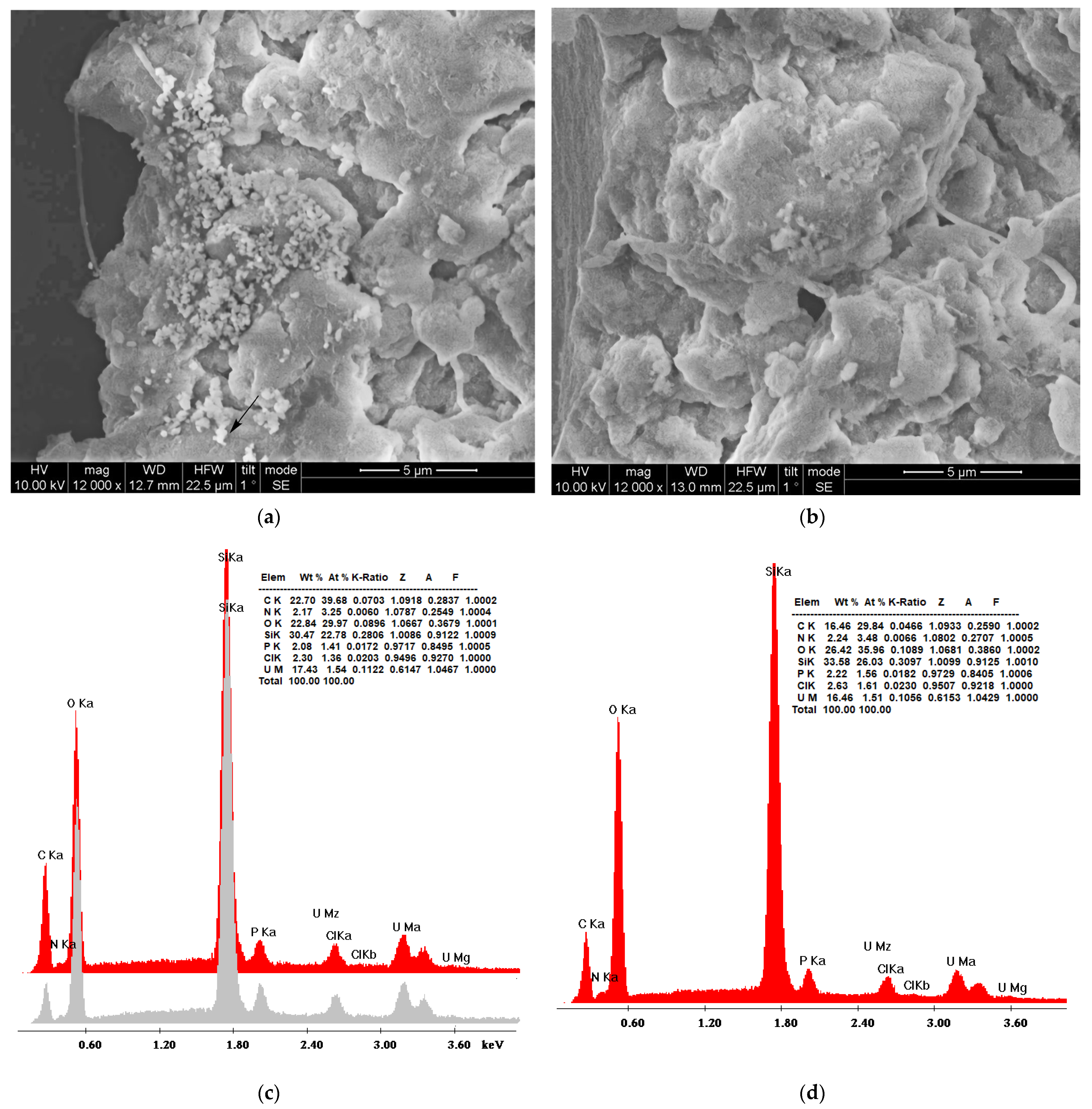 Nanomaterials 13 01794 g008