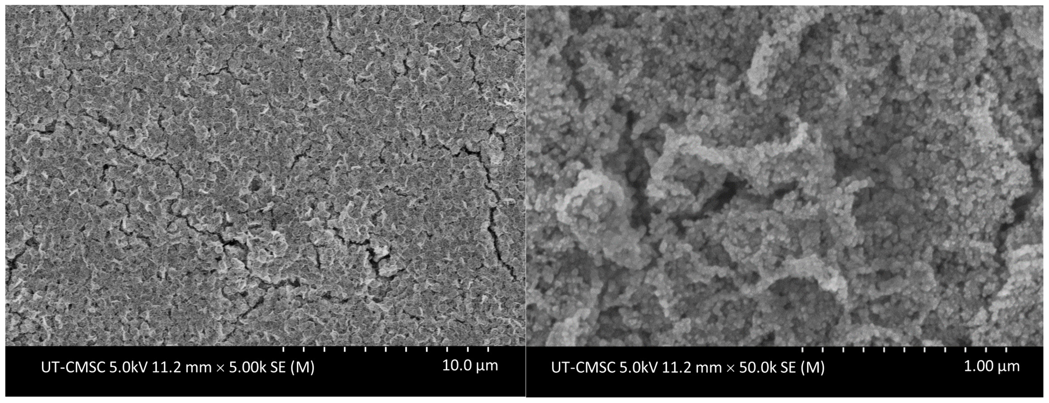 Nanomaterials 13 01795 g002