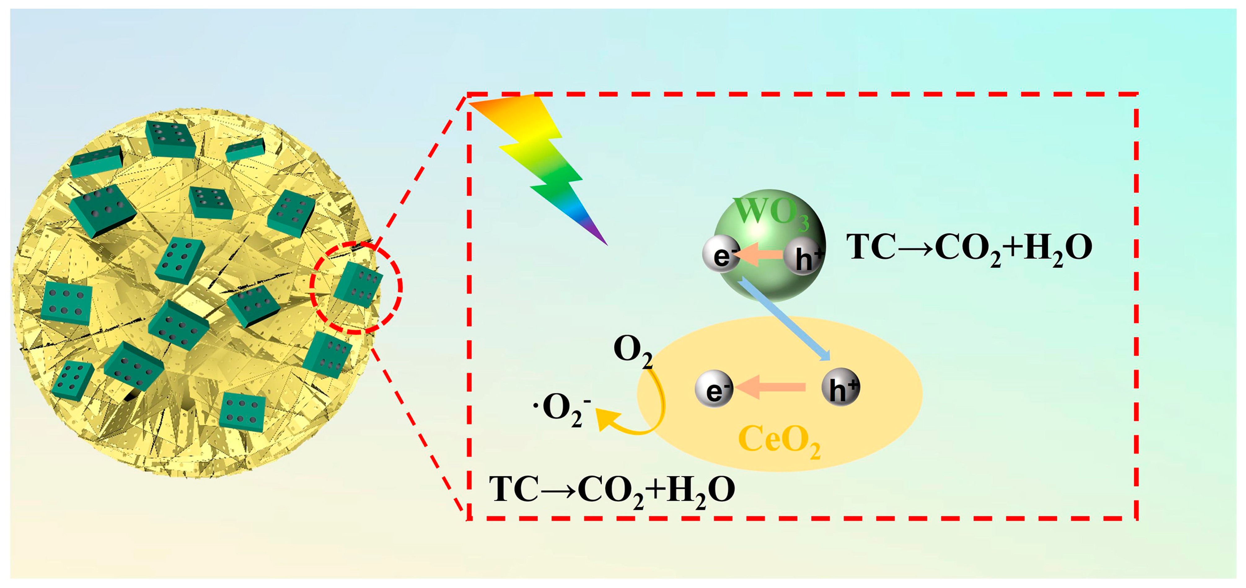 Nanomaterials 13 01798 g007