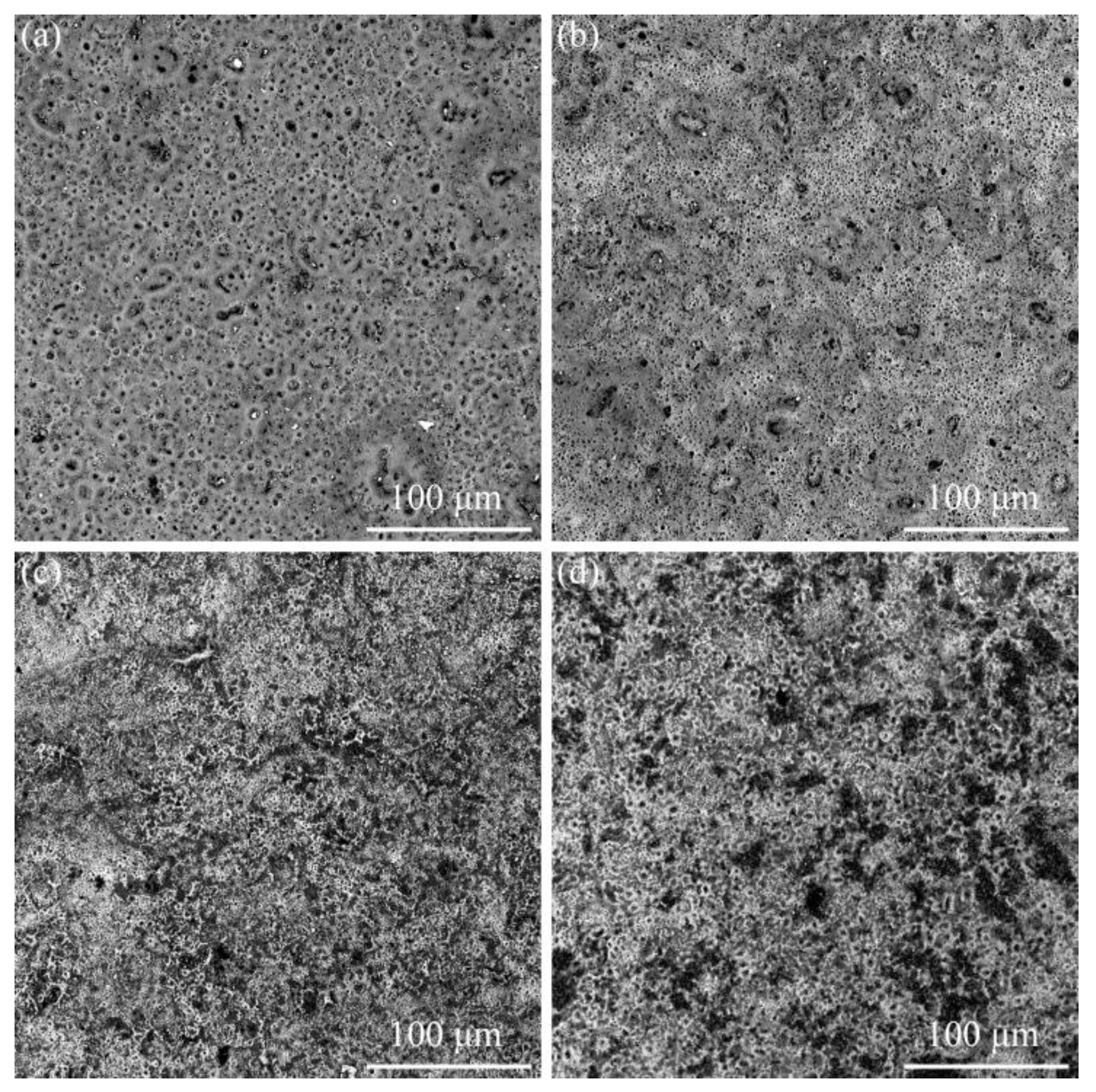 Nanomaterials 13 01802 g002