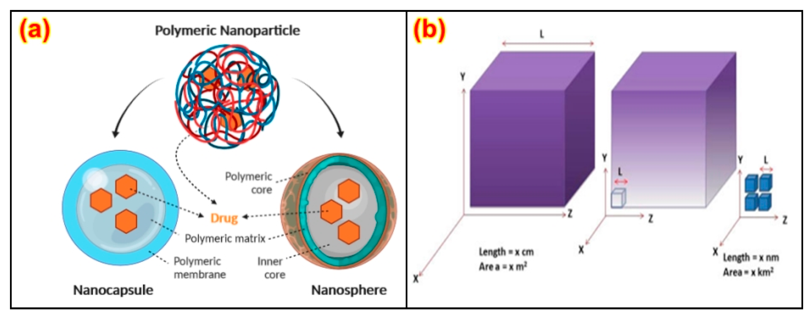 Nanomaterials 13 01803 g001