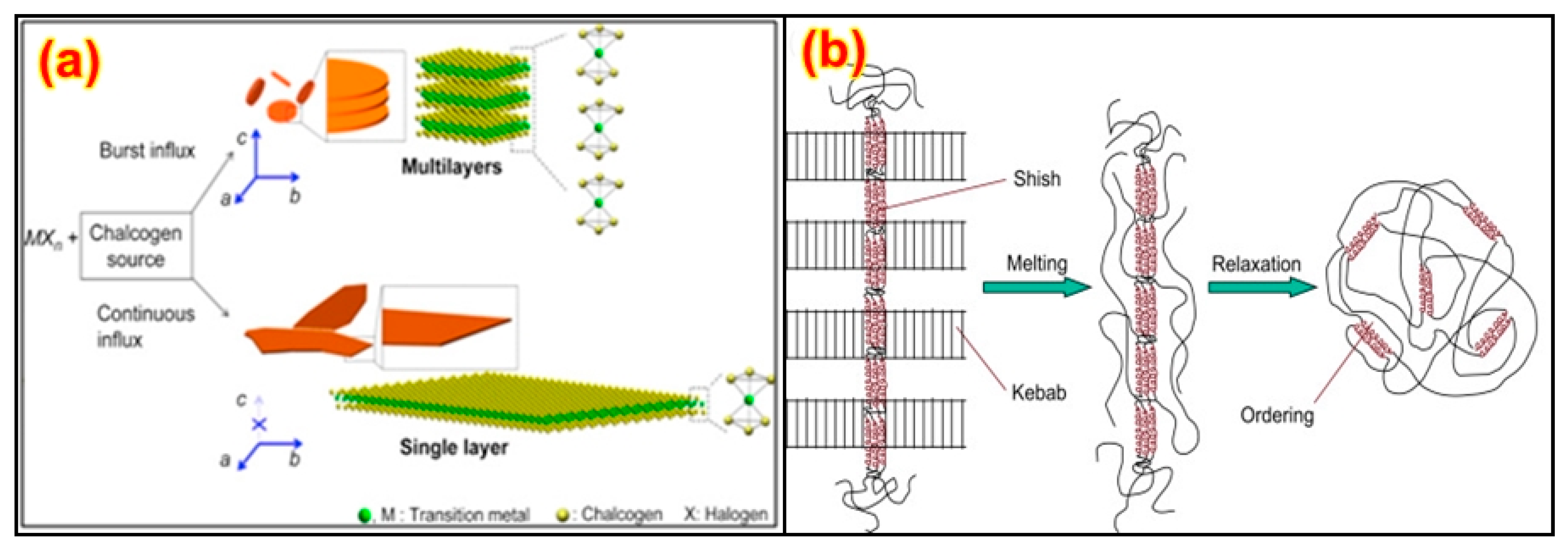 Nanomaterials 13 01803 g003