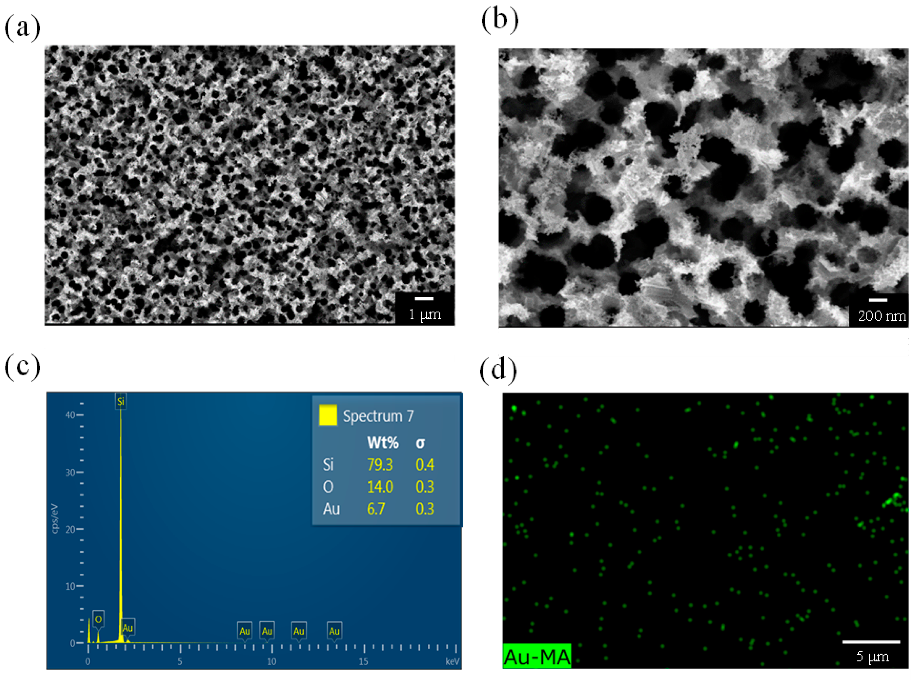 Nanomaterials 13 01805 g004
