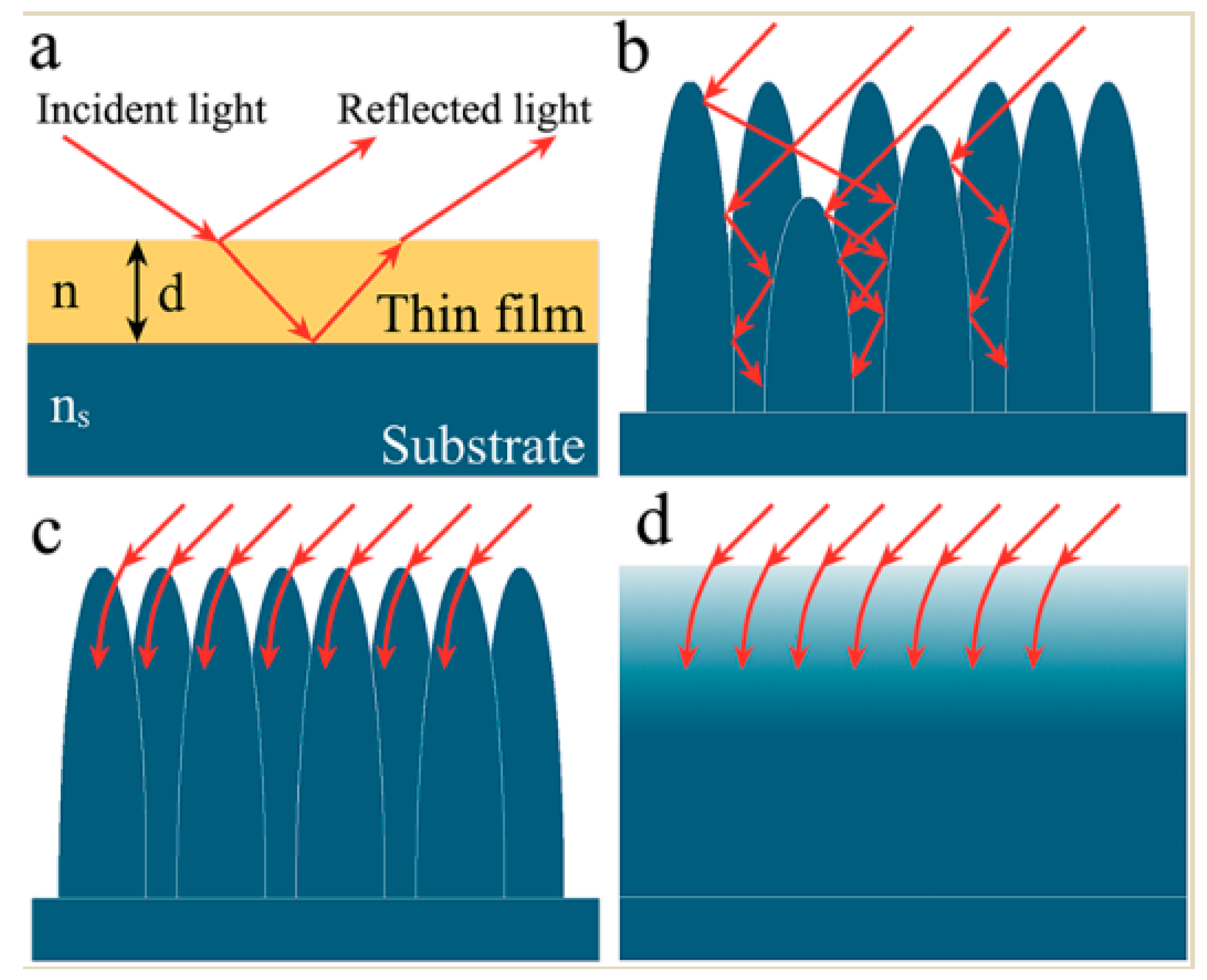 Nanomaterials 13 01818 g005