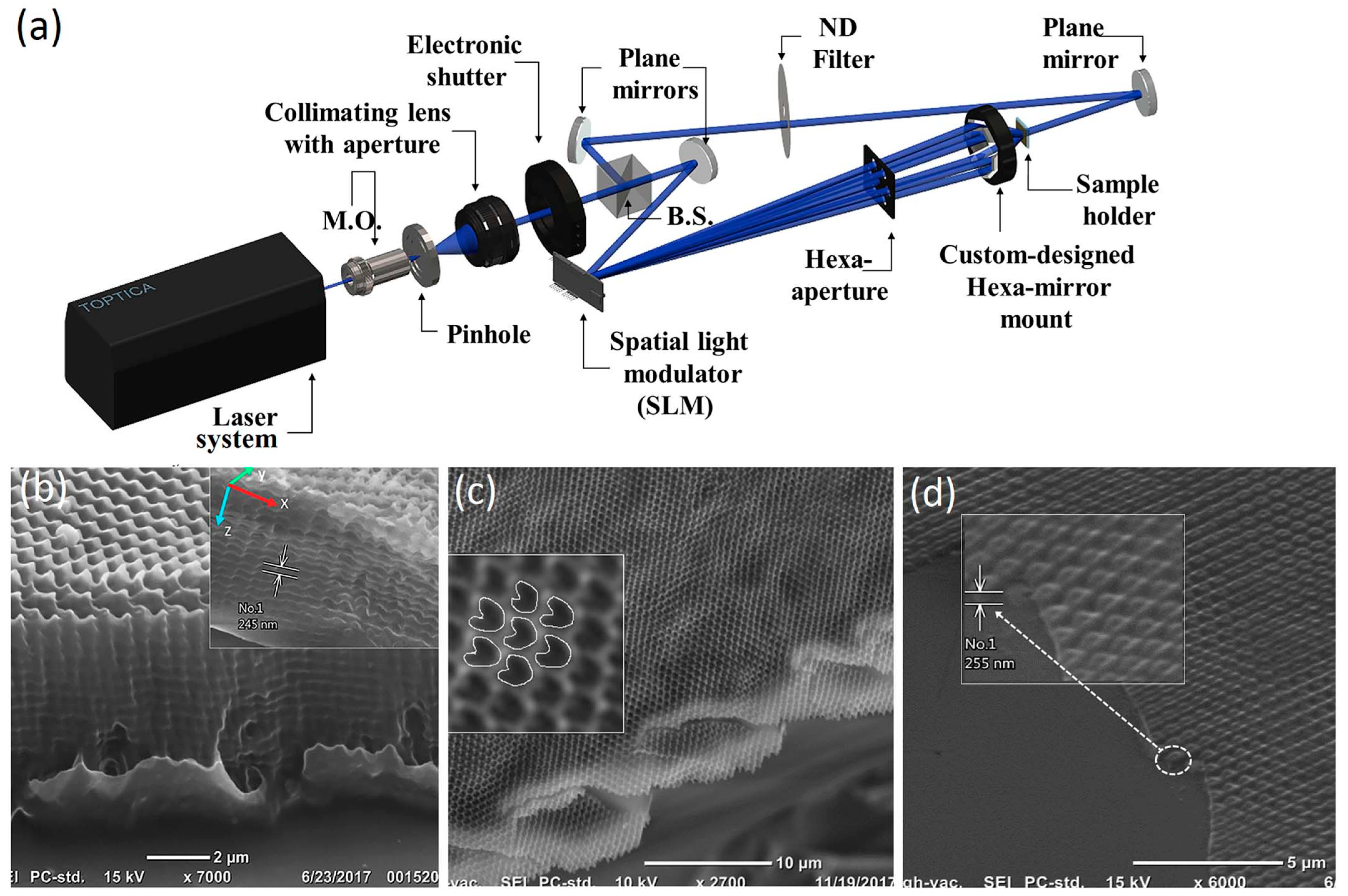 Nanomaterials 13 01818 g008