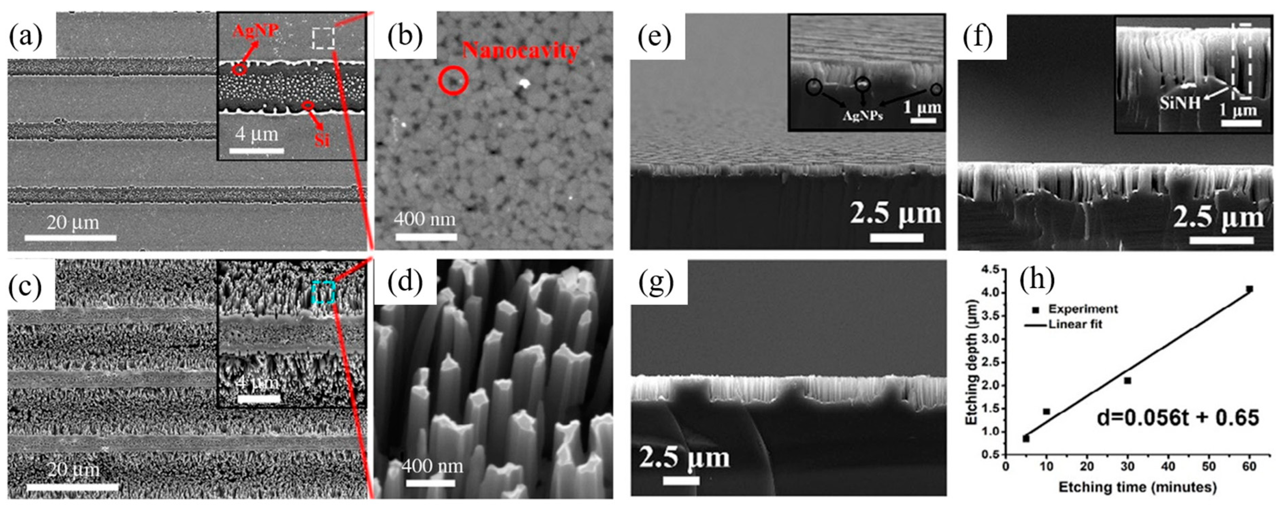 Nanomaterials 13 01818 g010