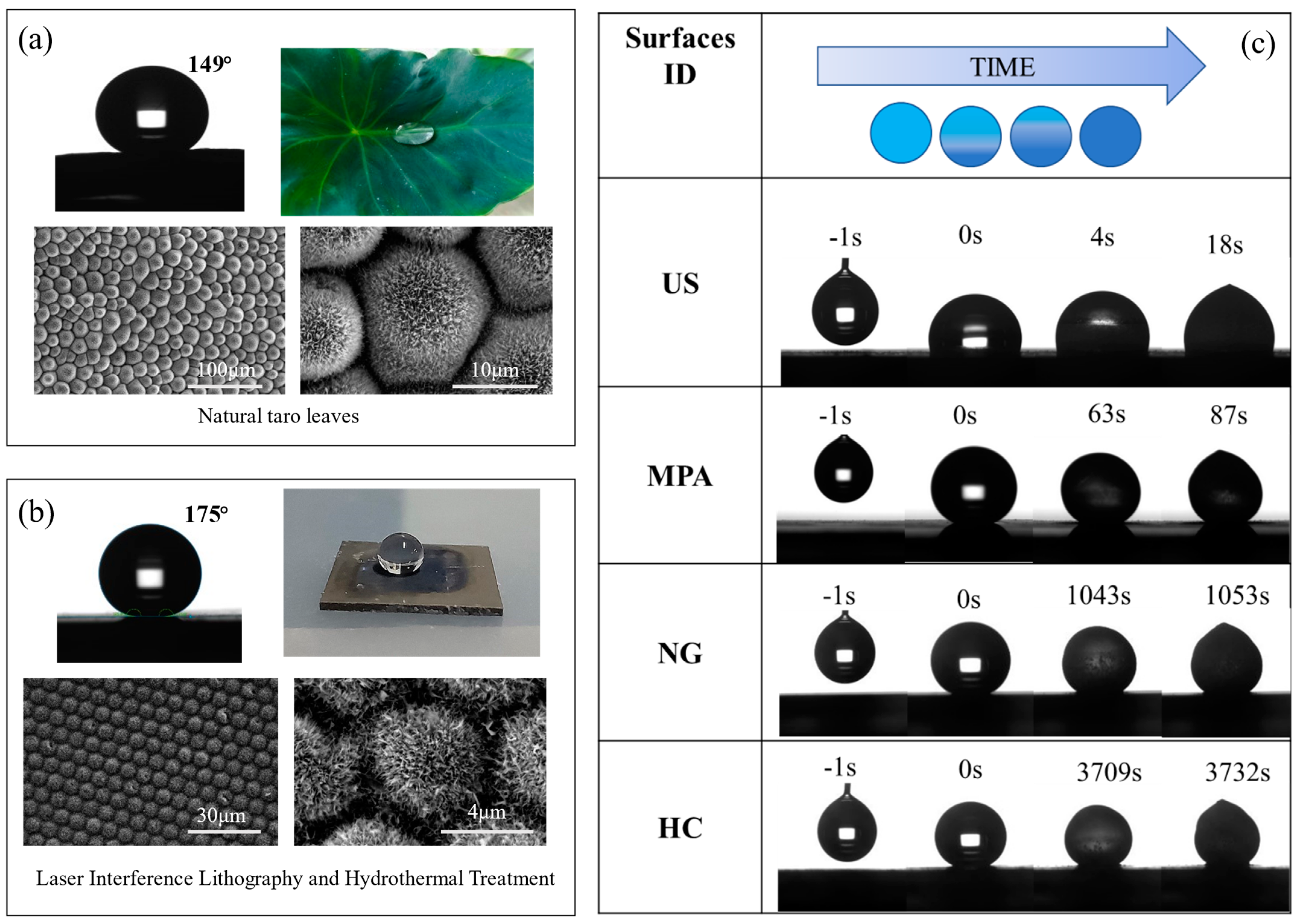 Nanomaterials 13 01818 g014