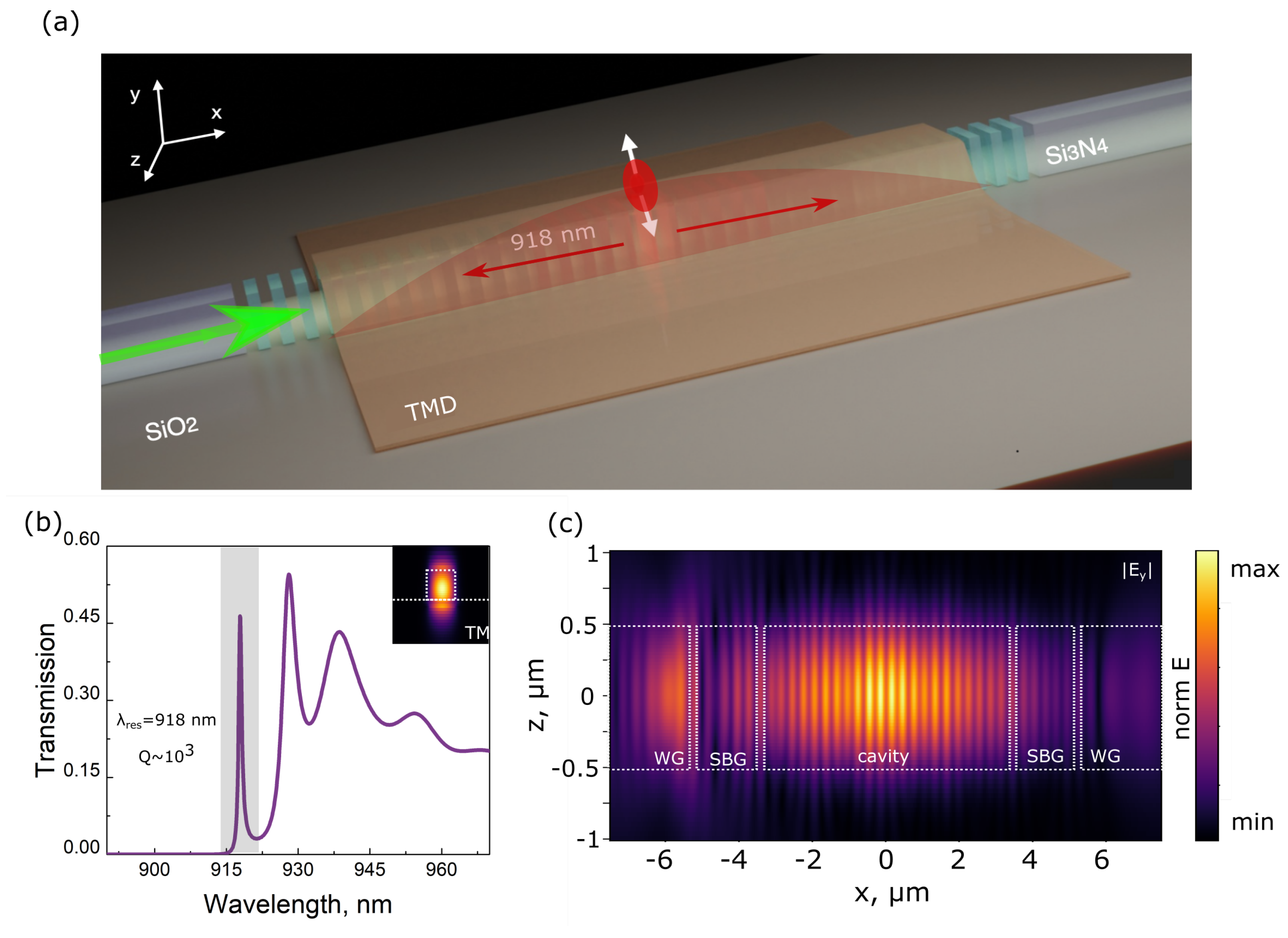 Nanomaterials 13 01821 g001 Nanomaterials 13 01821 g001