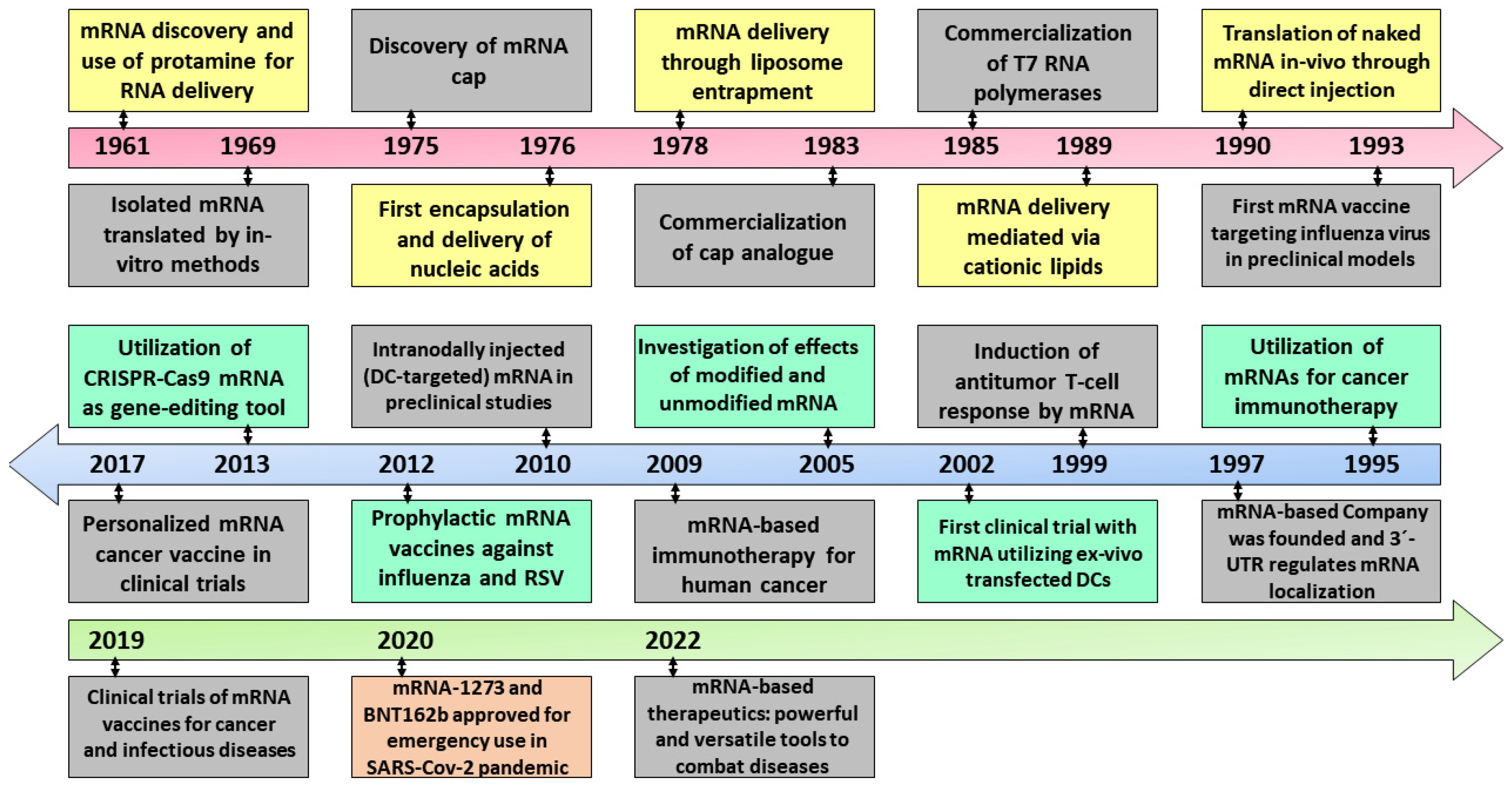 Nanomaterials 13 01828 g001 Nanomaterials 13 01828 g001
