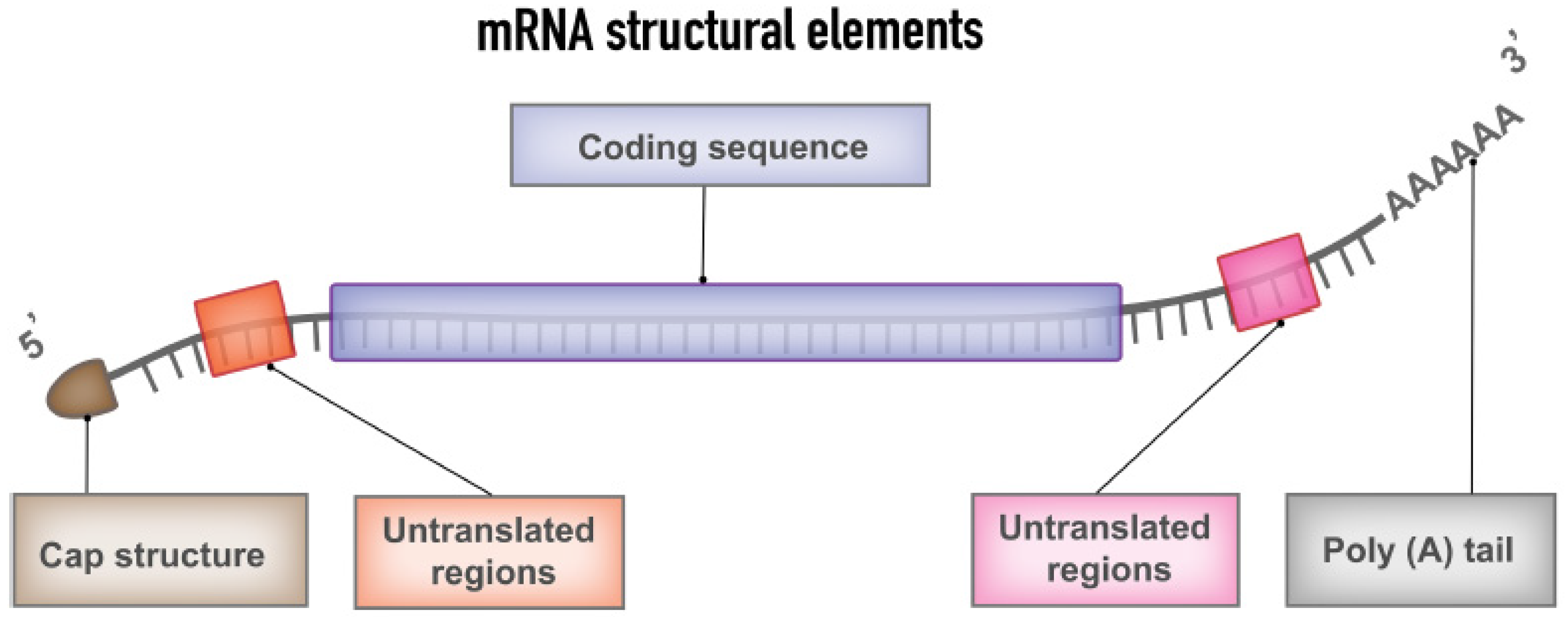 Nanomaterials 13 01828 g002 Nanomaterials 13 01828 g002