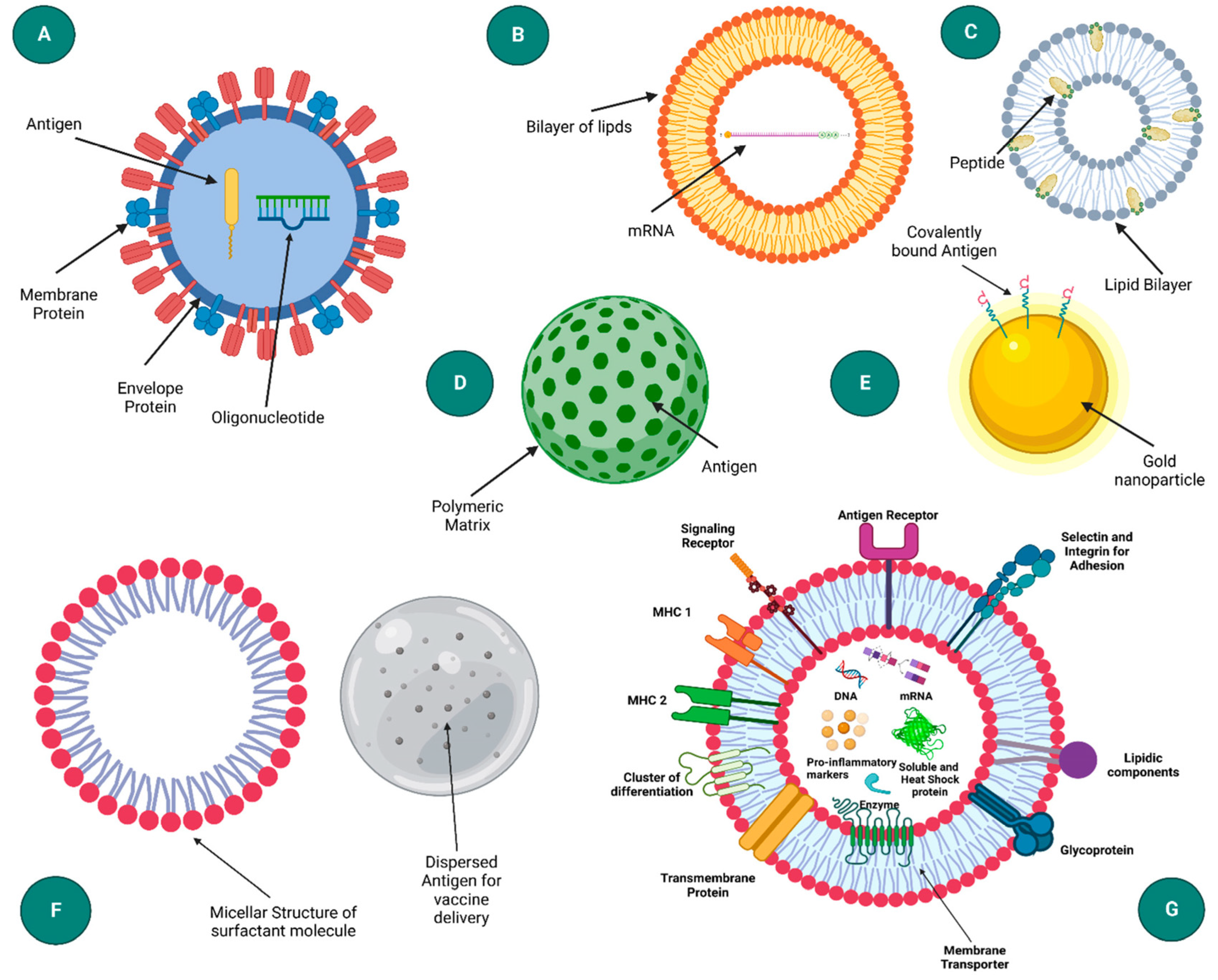 Nanomaterials 13 01828 g005 Nanomaterials 13 01828 g005