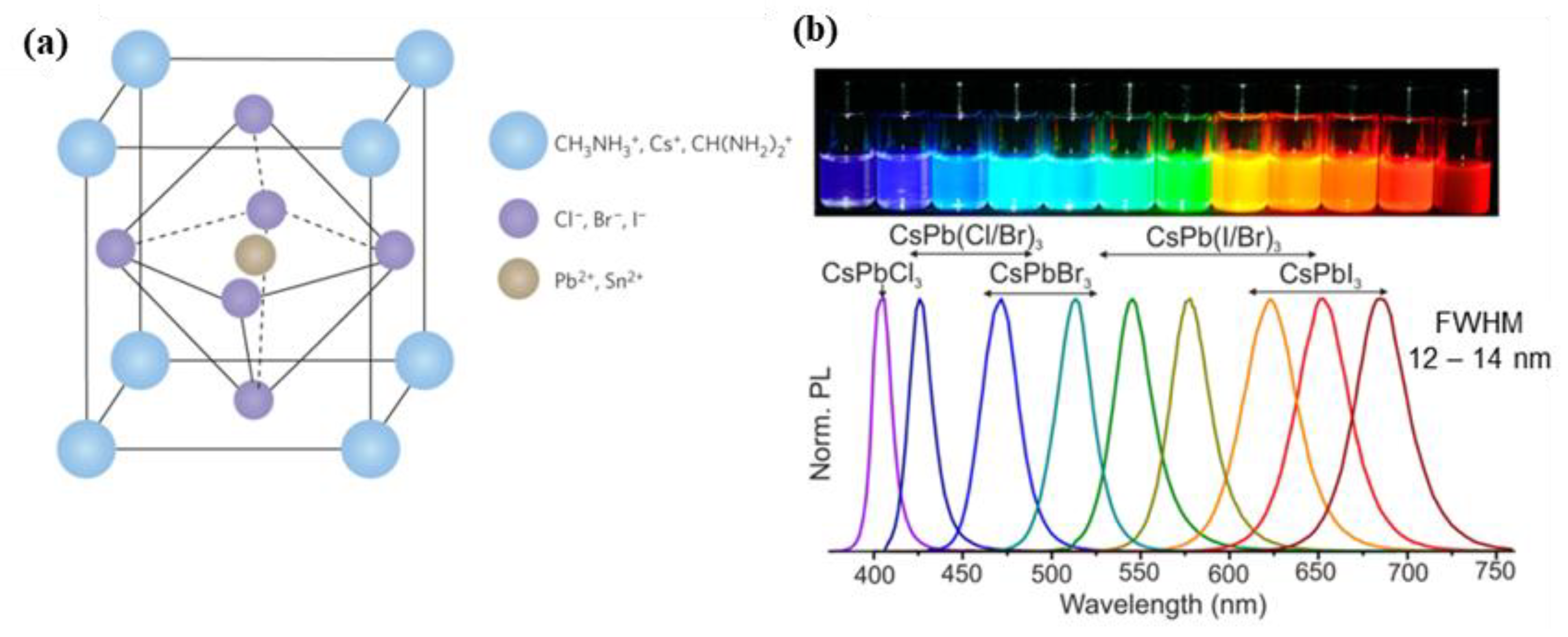 Nanomaterials 13 01833 g001