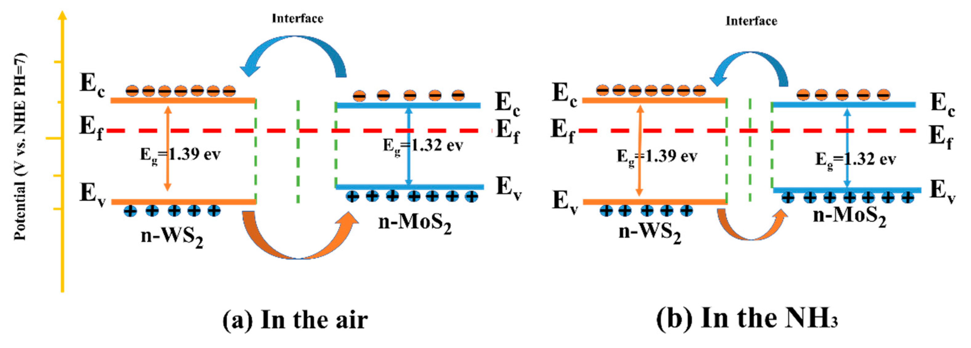 Nanomaterials 13 01835 g012