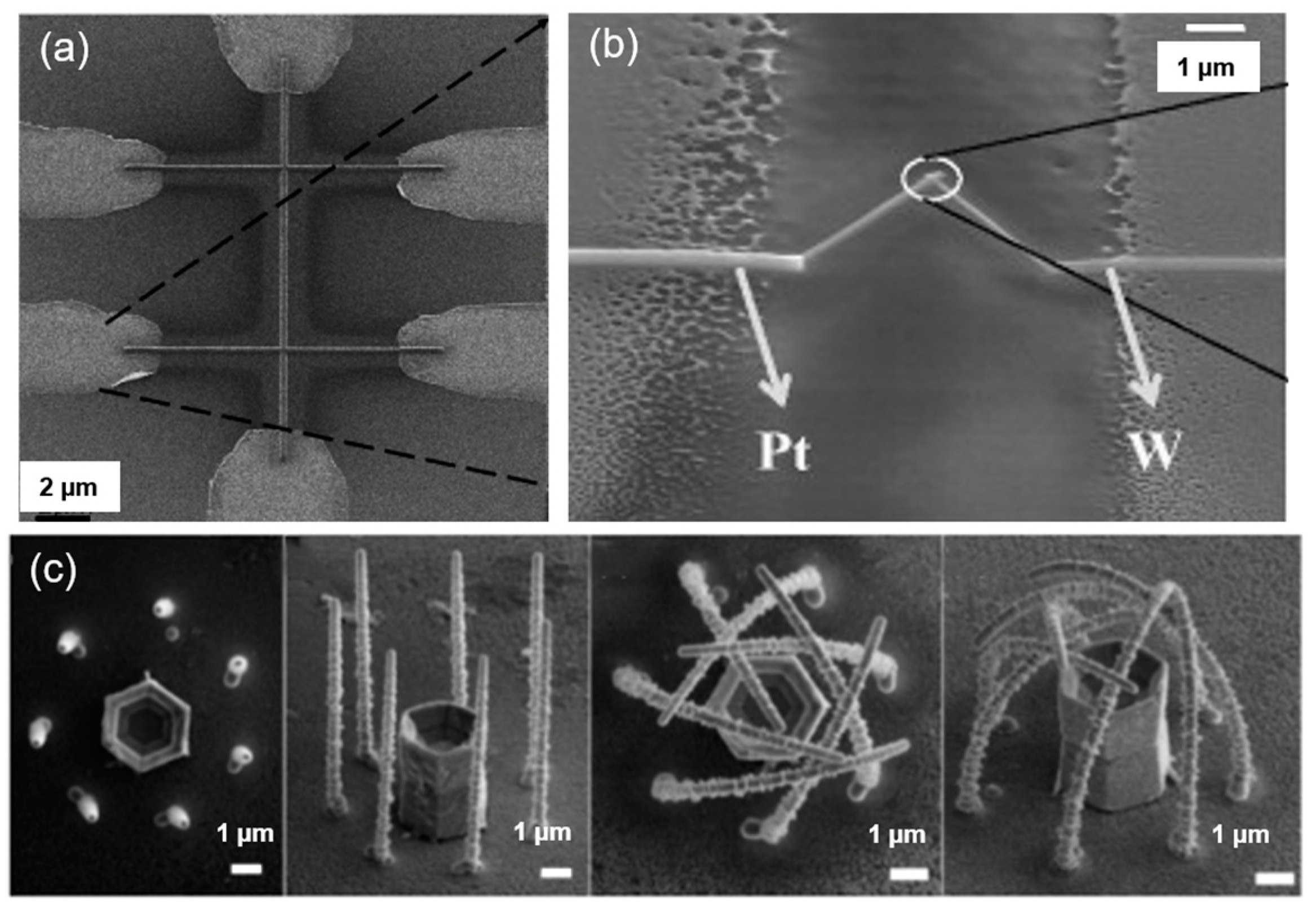 Nanomaterials 13 01839 g008
