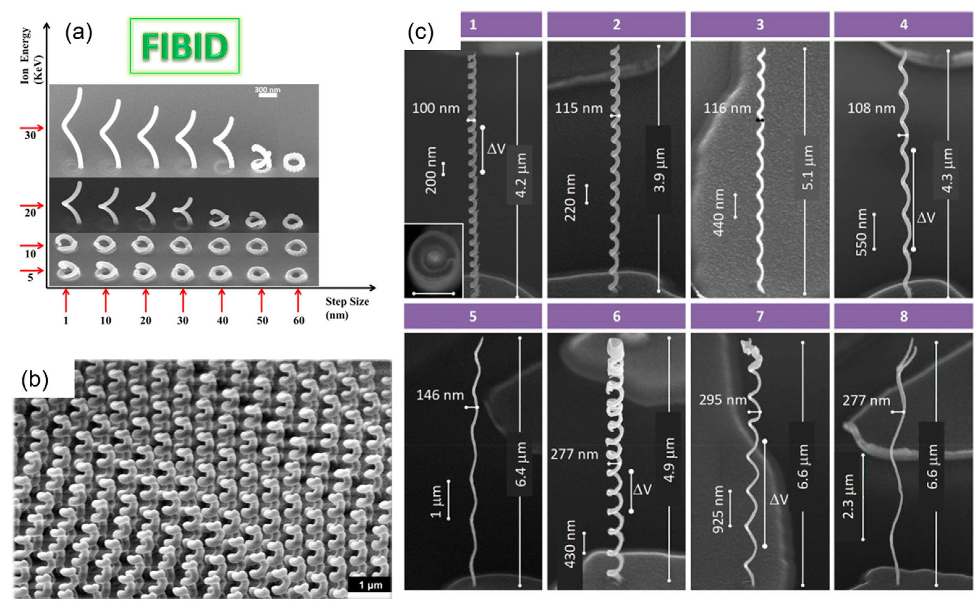 Nanomaterials 13 01839 g010