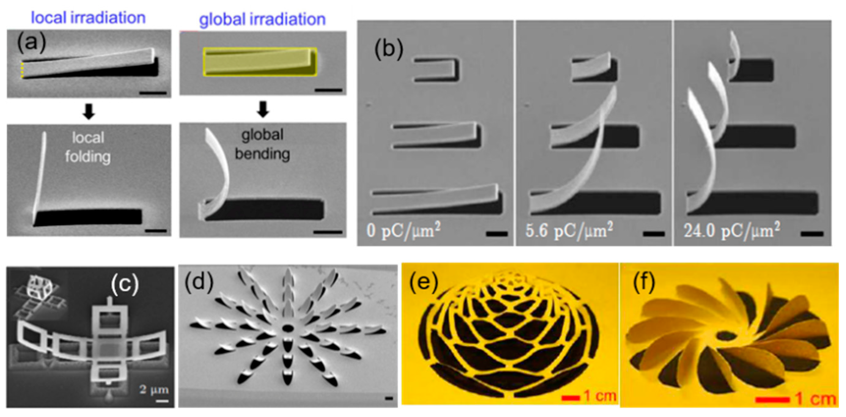 Nanomaterials 13 01839 g011