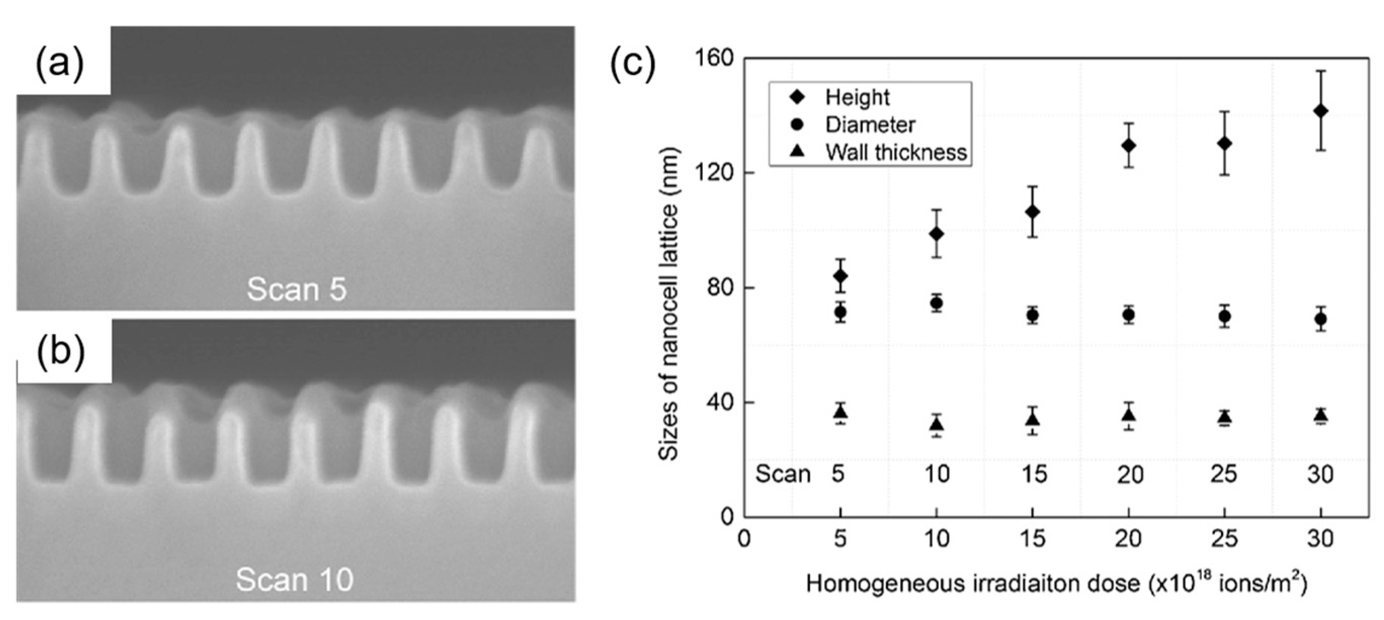 Nanomaterials 13 01839 g014