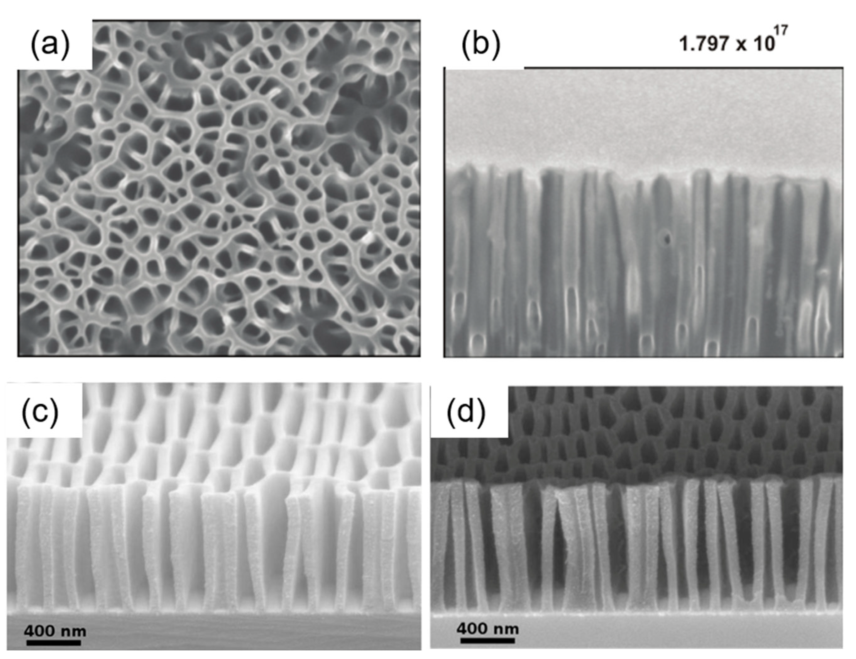 Nanomaterials 13 01839 g015