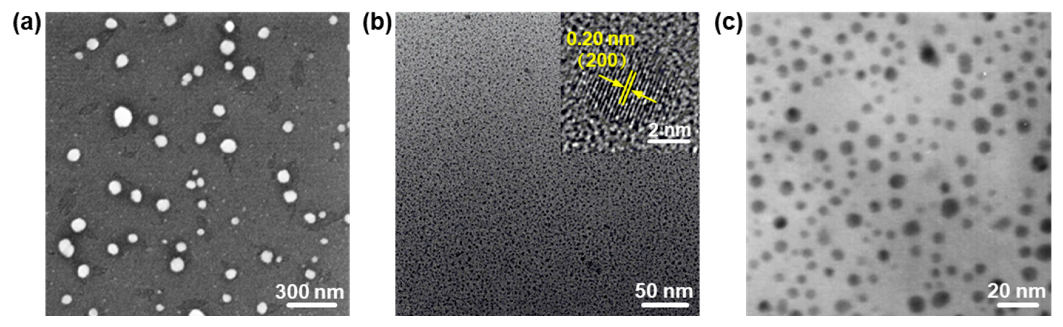Nanomaterials 13 01842 g002