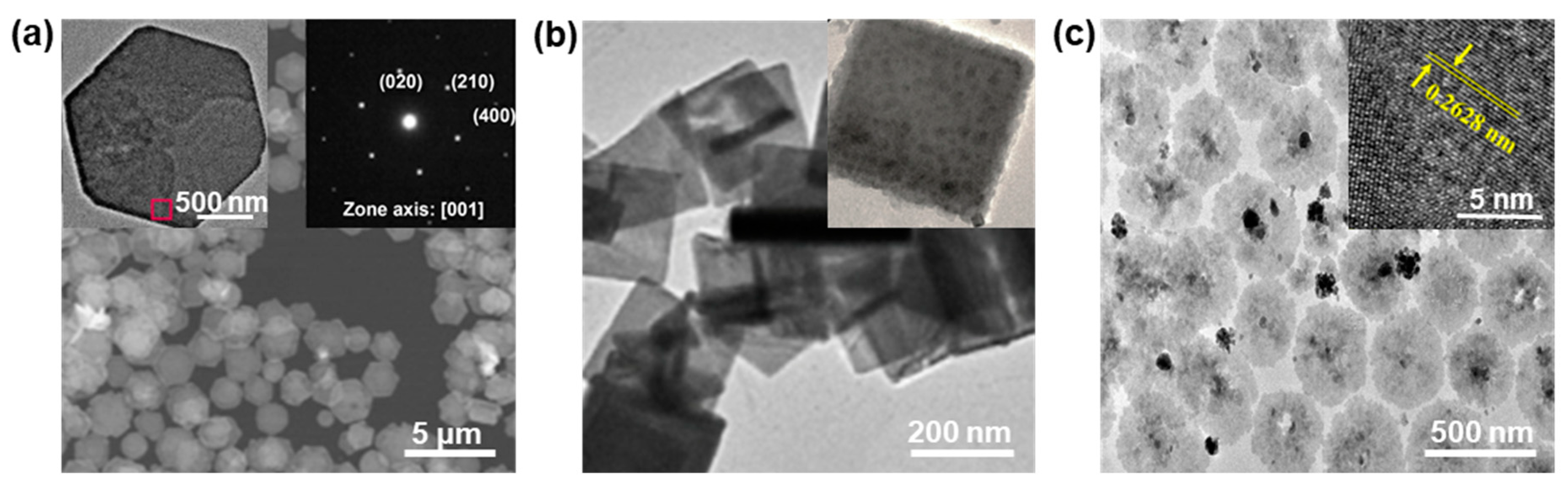 Nanomaterials 13 01842 g004