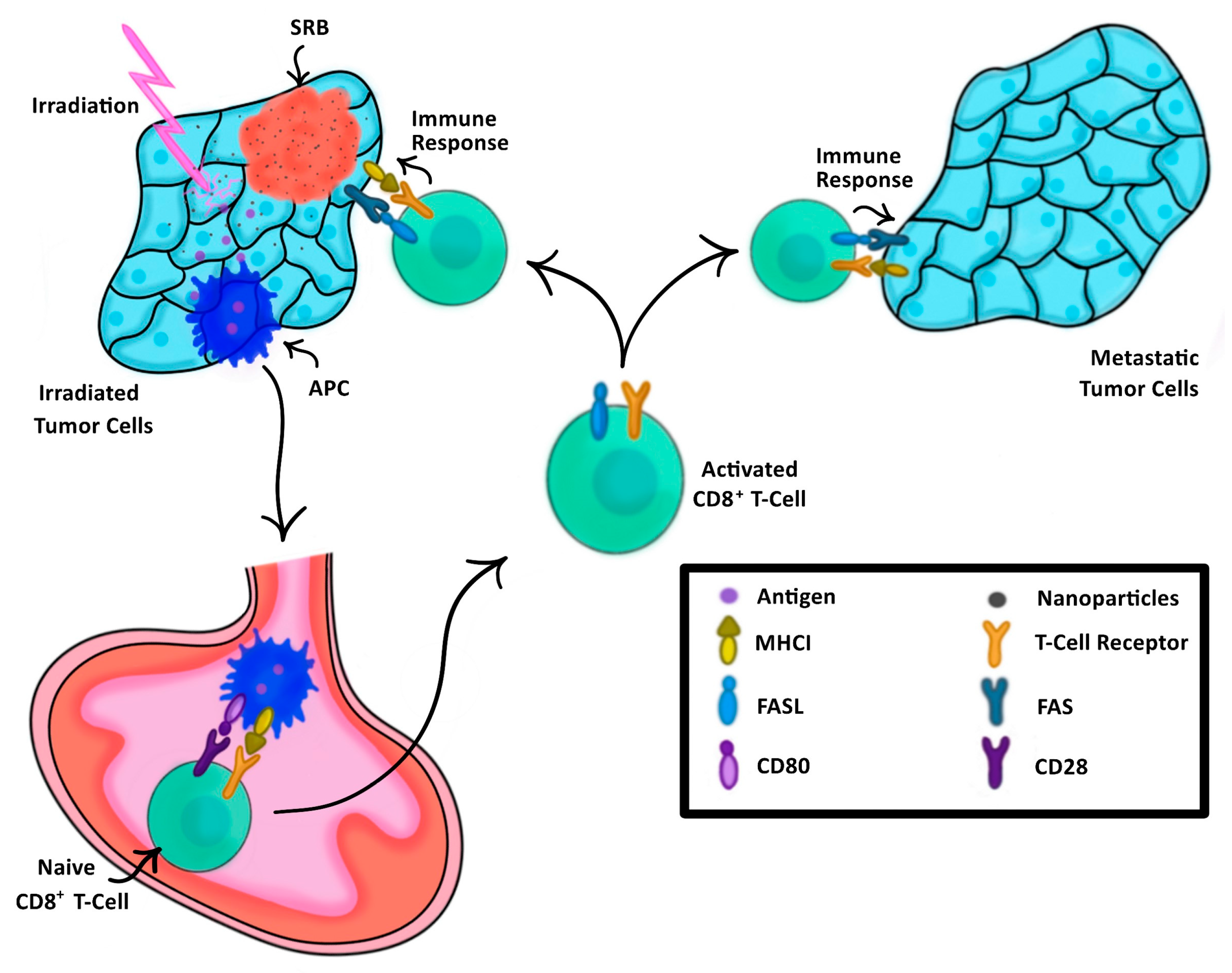 Nanomaterials 13 01844 g001