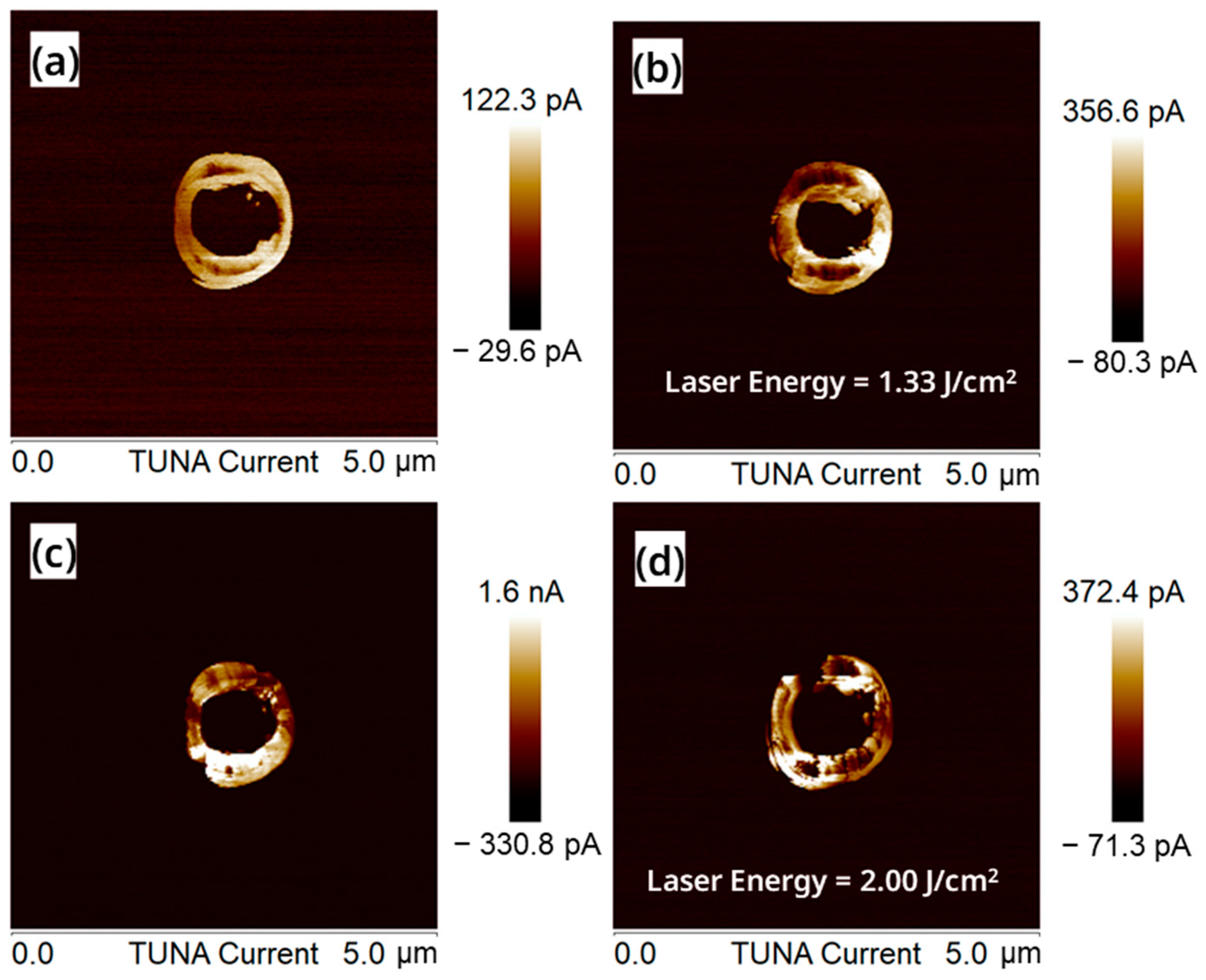 Nanomaterials 13 01867 g007