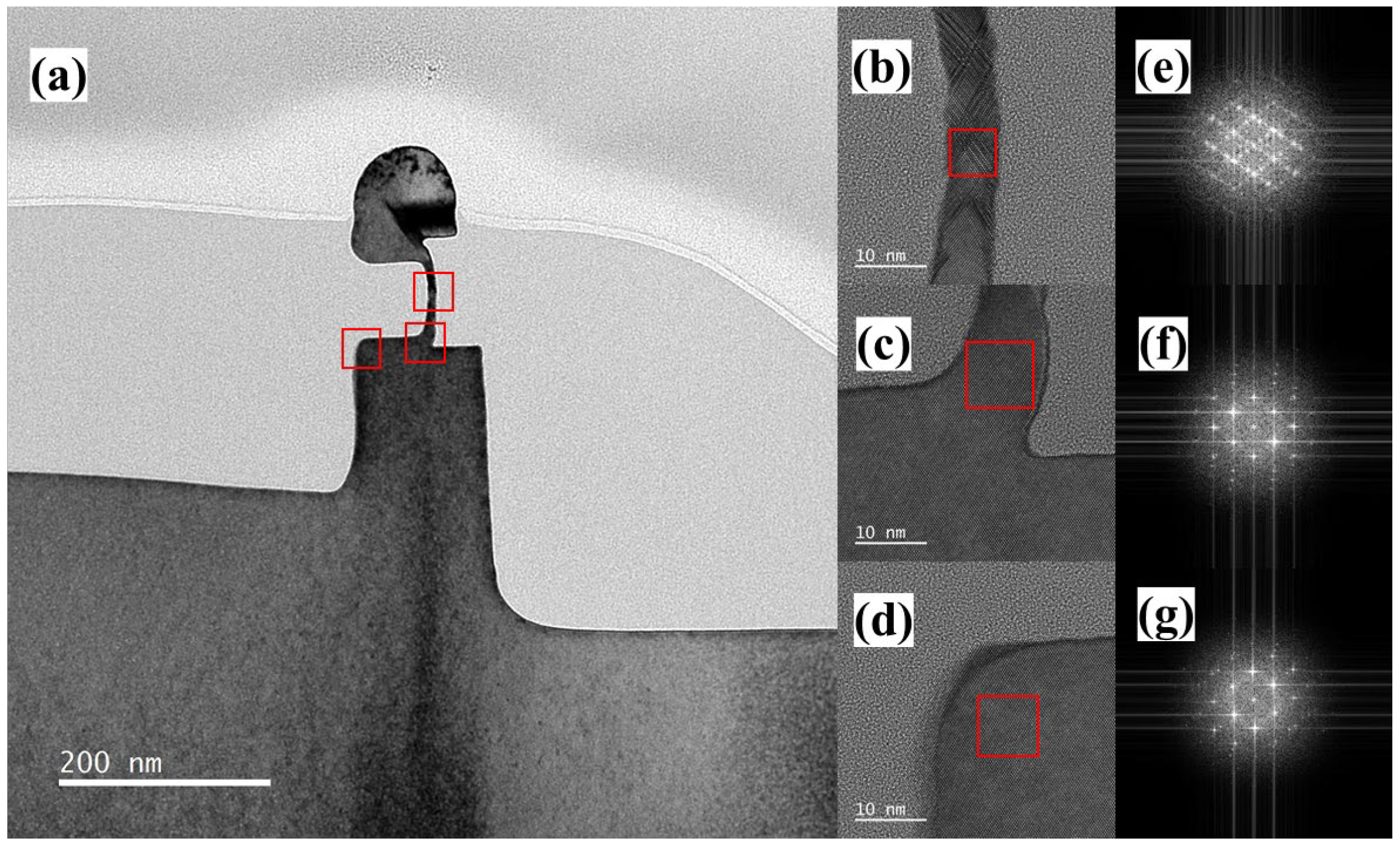 Nanomaterials 13 01867 g010
