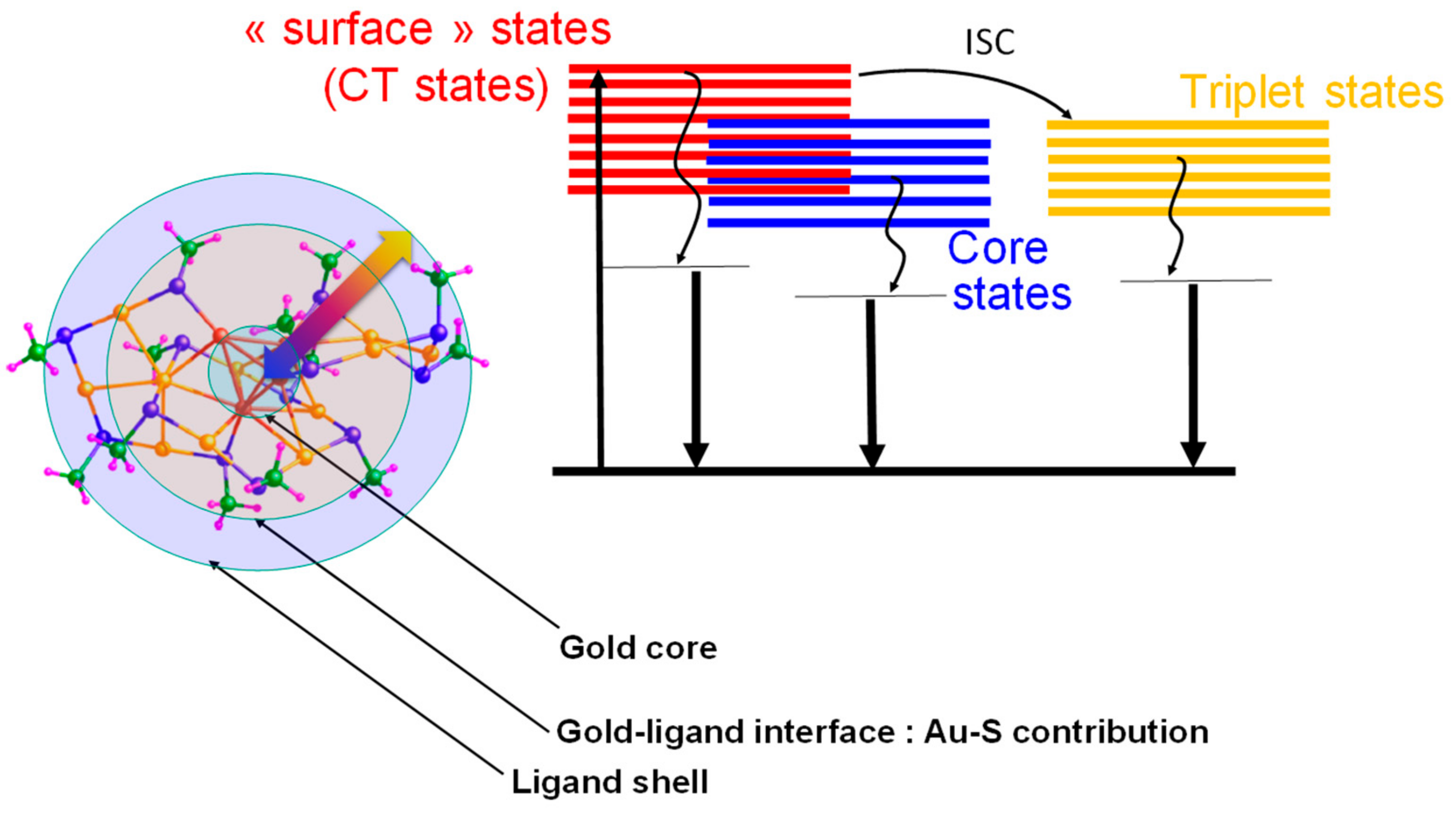 Nanomaterials 13 01874 g005