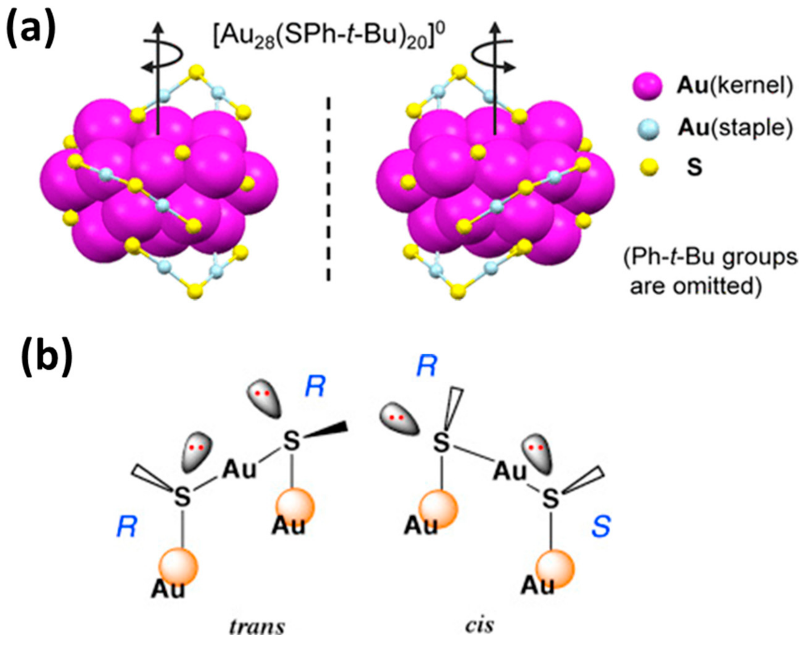Nanomaterials 13 01874 g007