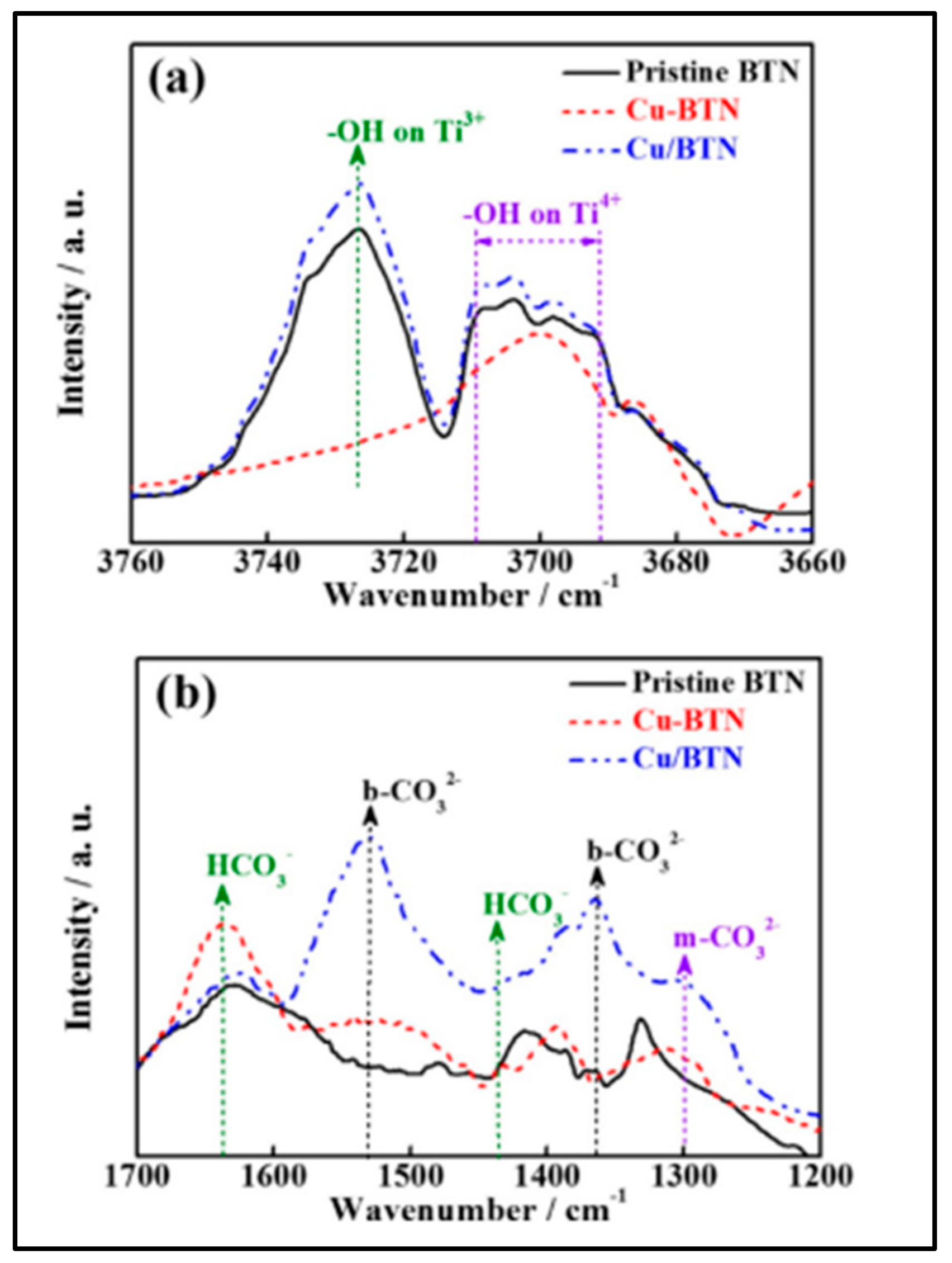 Nanomaterials 13 01874 g013