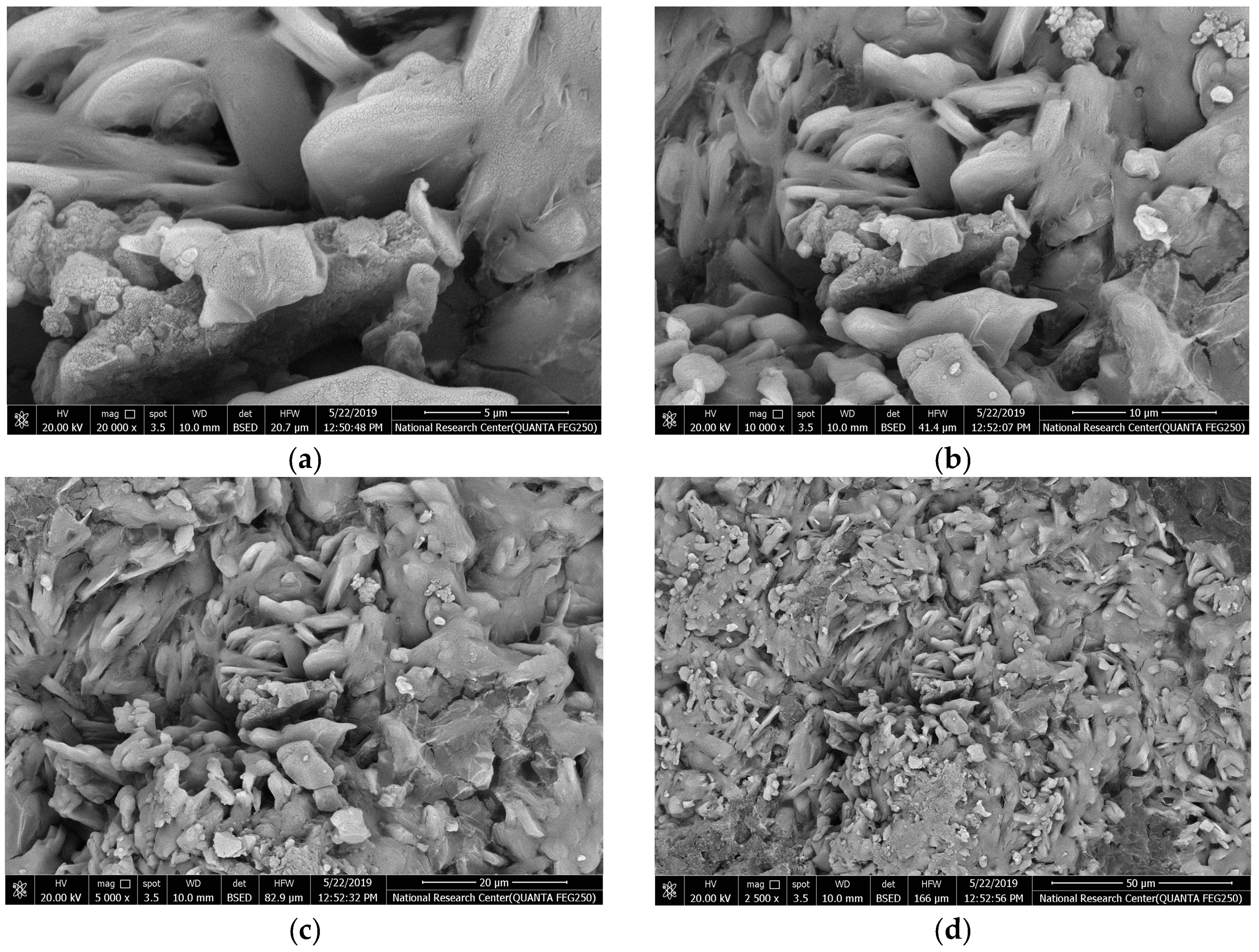Nanomaterials 13 01889 g004
