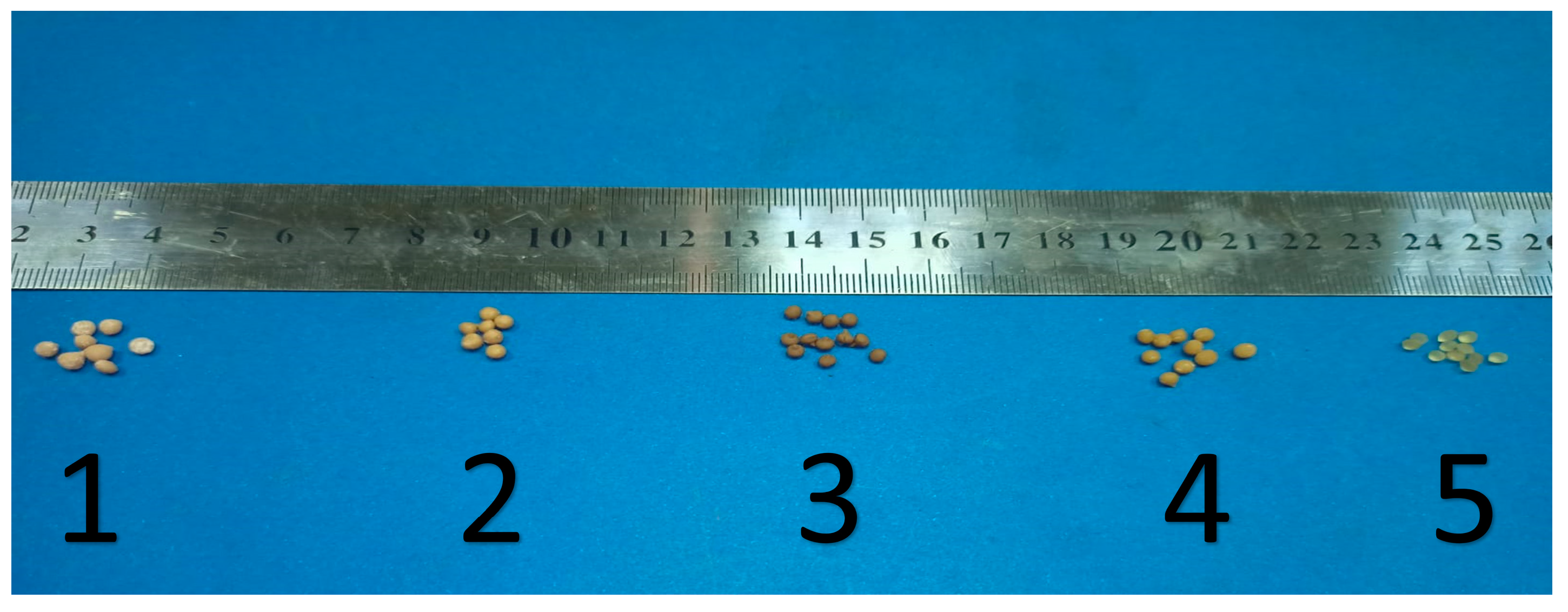Nanomaterials 13 01889 g005