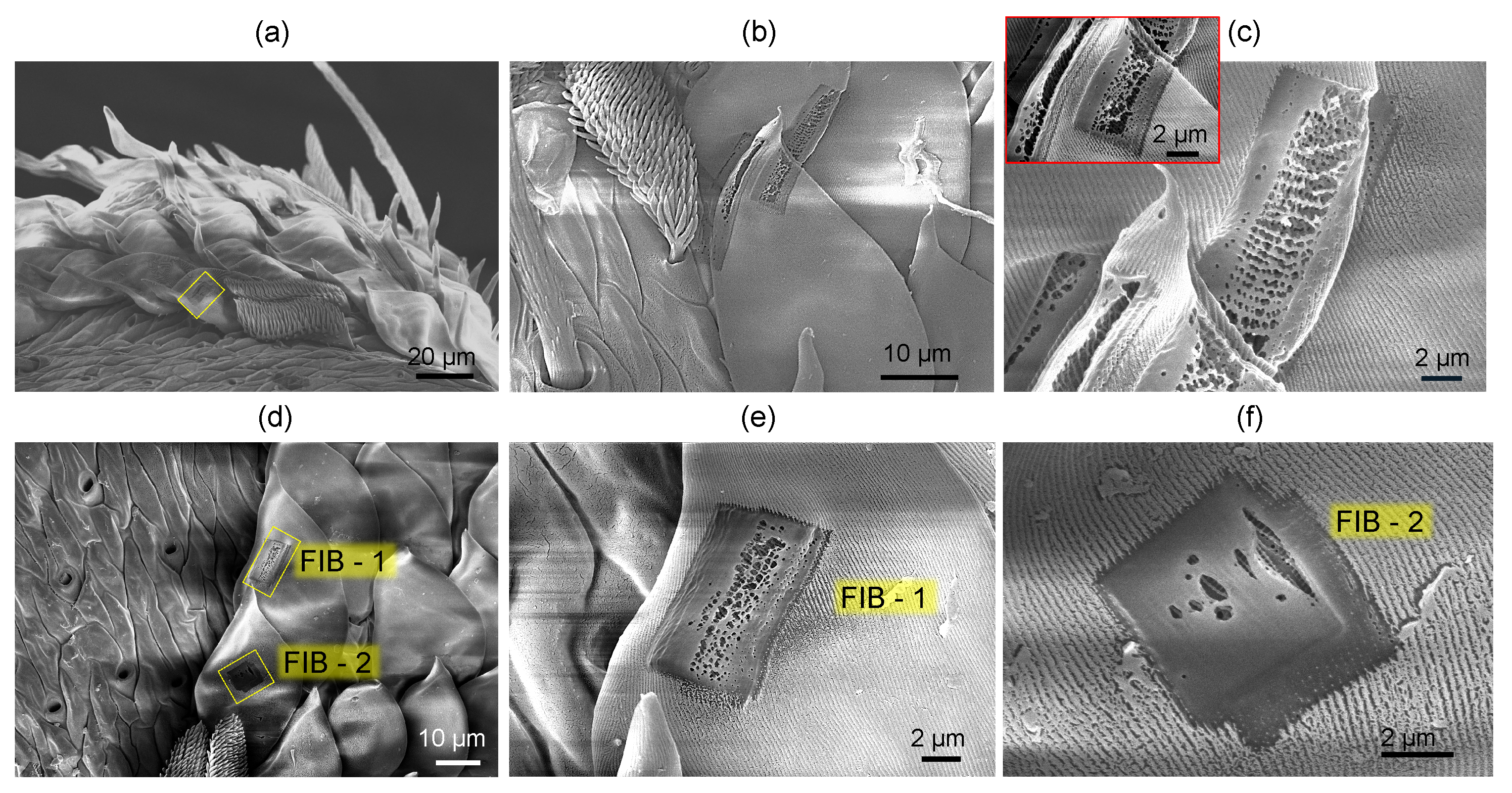 Nanomaterials 13 01894 g004