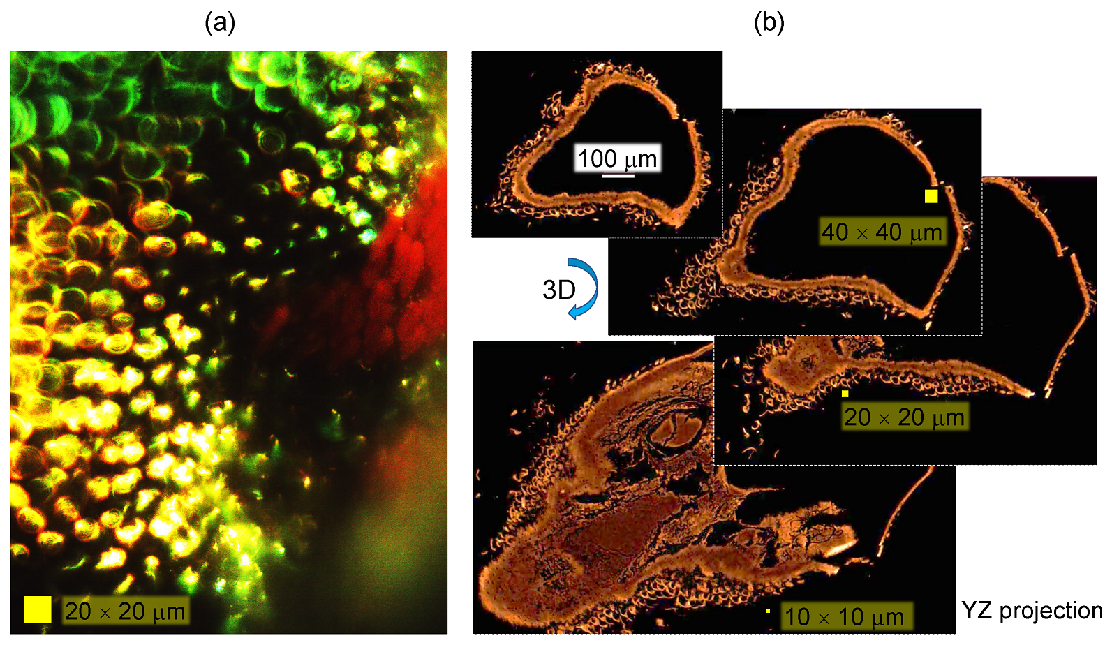Nanomaterials 13 01894 g006